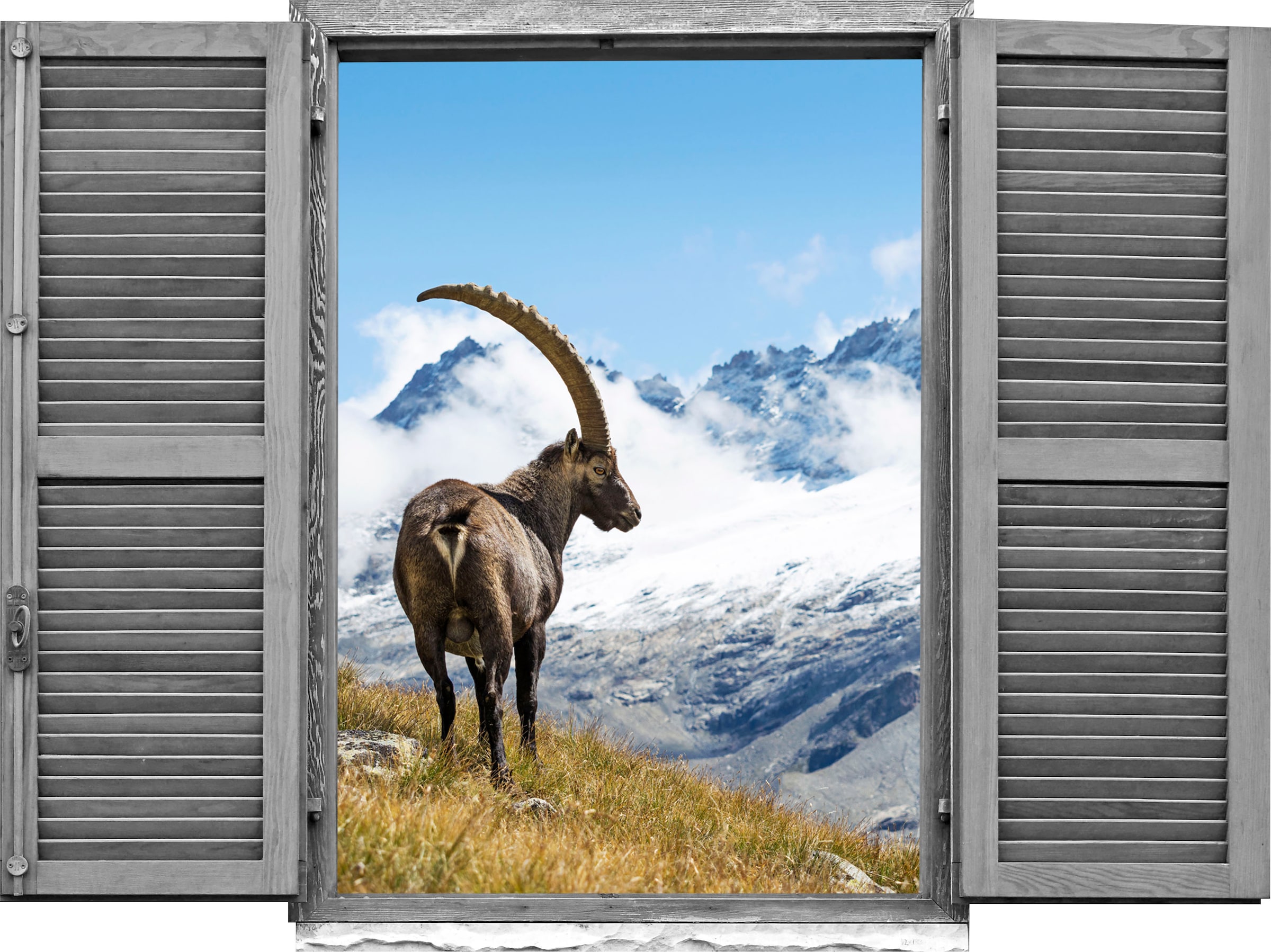 queence Wandtattoo »Steinbock« (1 St.)