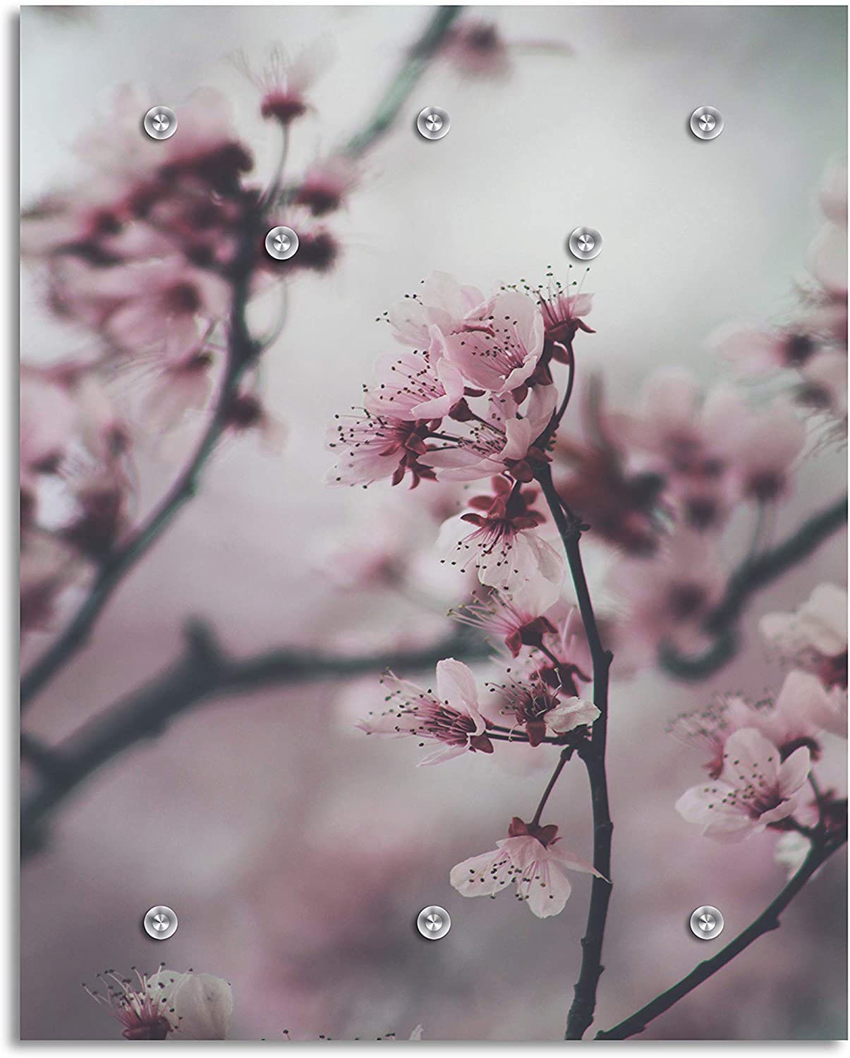 queence Garderobenleiste "Violet" Kirschblüten, Wanddeko, Garderobe günstig online kaufen