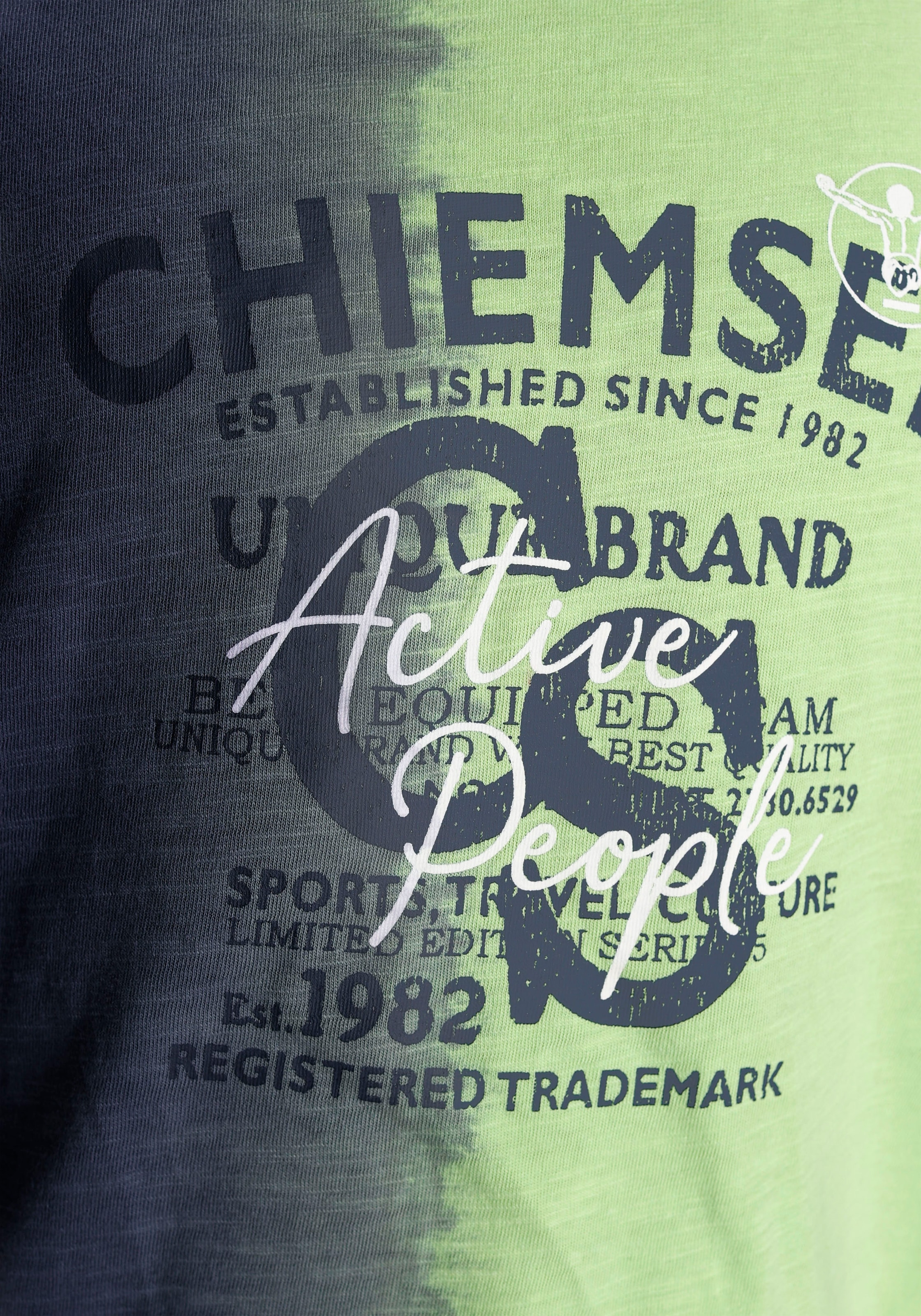 Chiemsee T-Shirt »Farbverlauf«, BAUR | für Farbverlauf vertikalem ▷ mit