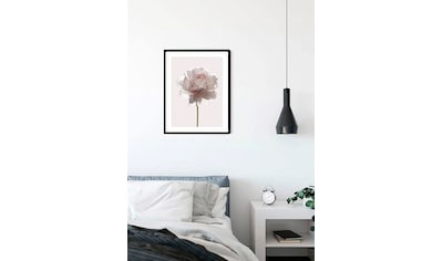 Poster »Rose«, Blumen, (1 St.)