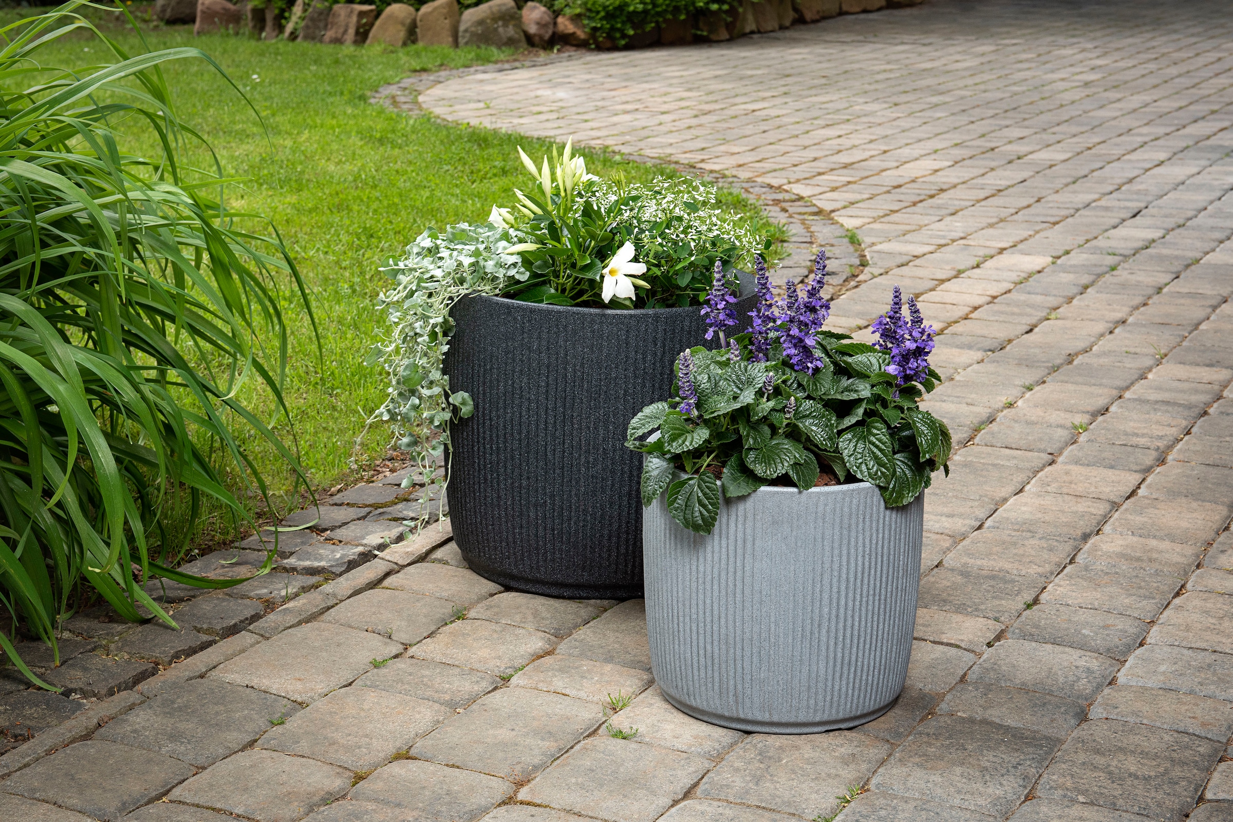Scheurich Pflanzkübel »40/259 Linetto« dickwandiger Topf aus hochwertigem Kunststoff, ØxH: 38,6x35,3 cm