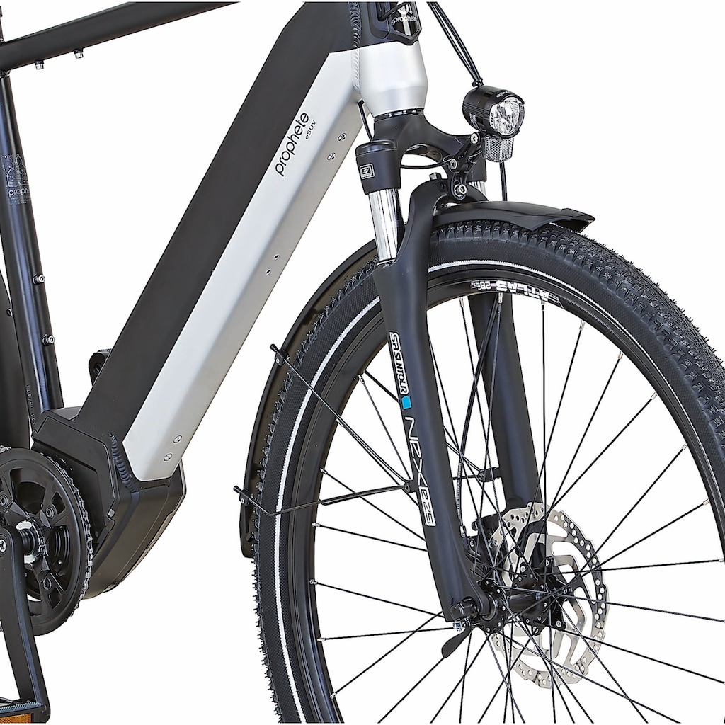 Prophete E-Bike »Entdecker InsideTwo«, 10 Gang, Shimano, Deore, Mittelmotor 250 W