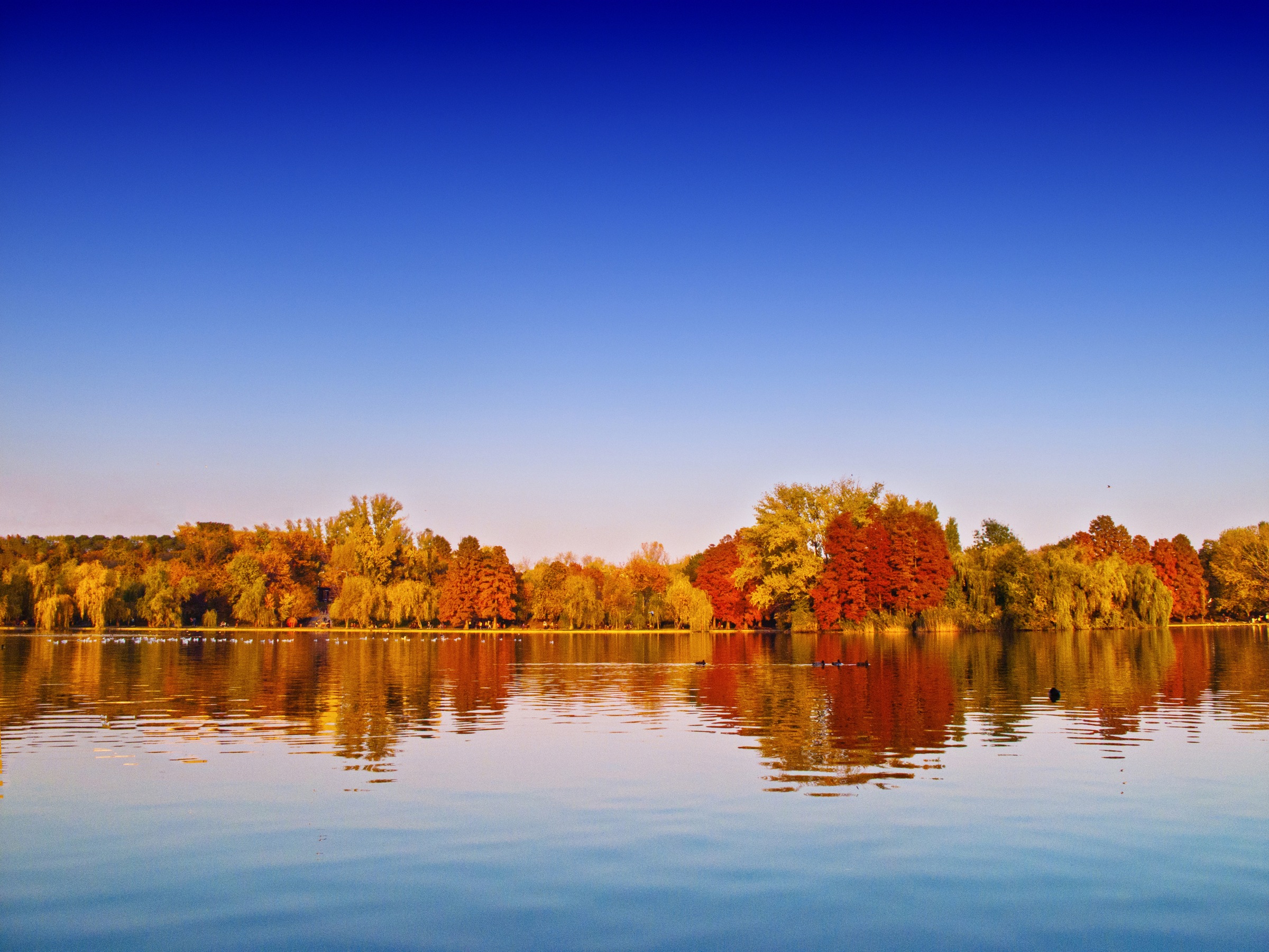 Papermoon Fototapetas »Autumn Lake«