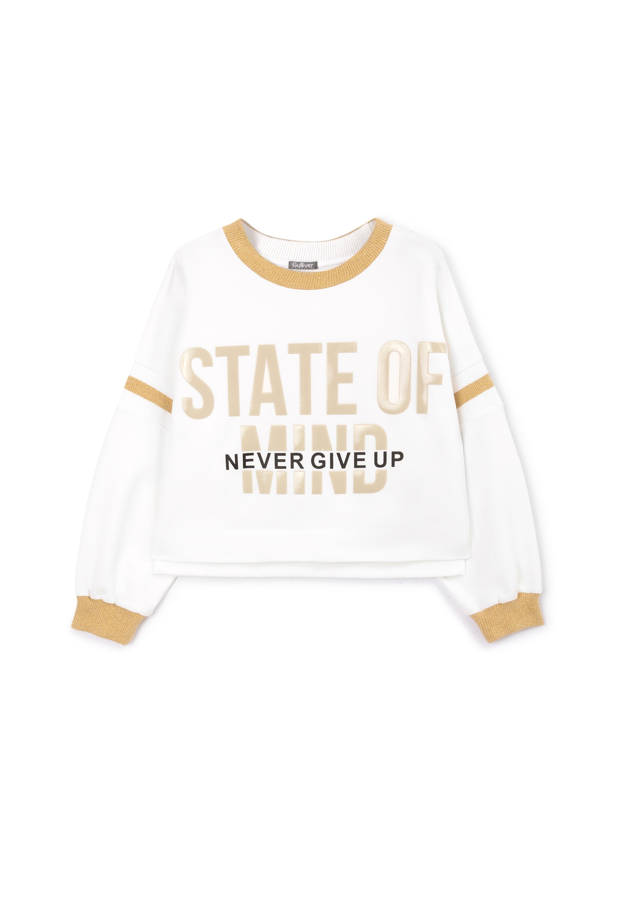 Gulliver Sweatshirt, mit Frontdruck