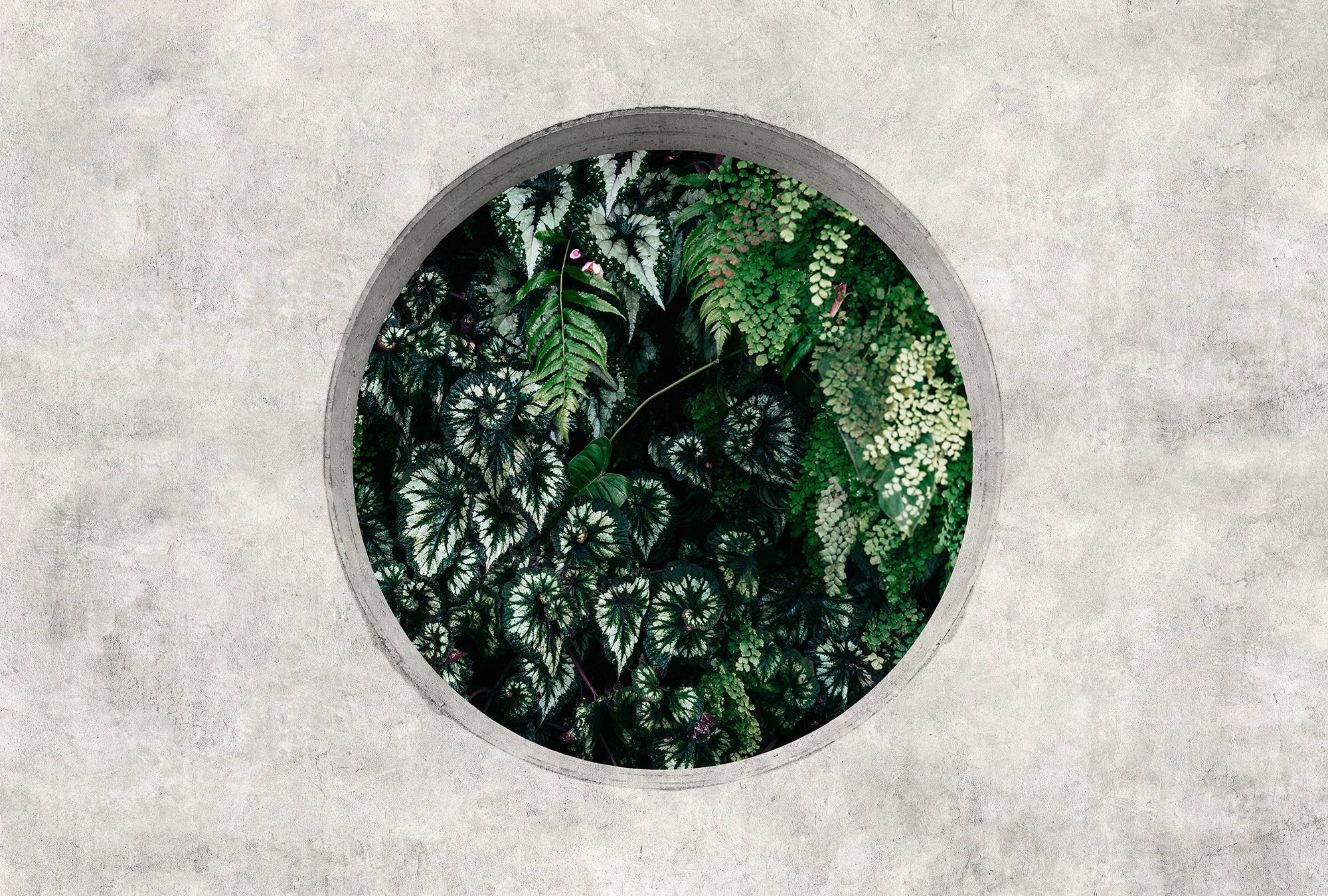 living walls Fototapete "Walls by Patel Deep Green" glatt Vlies, Wand