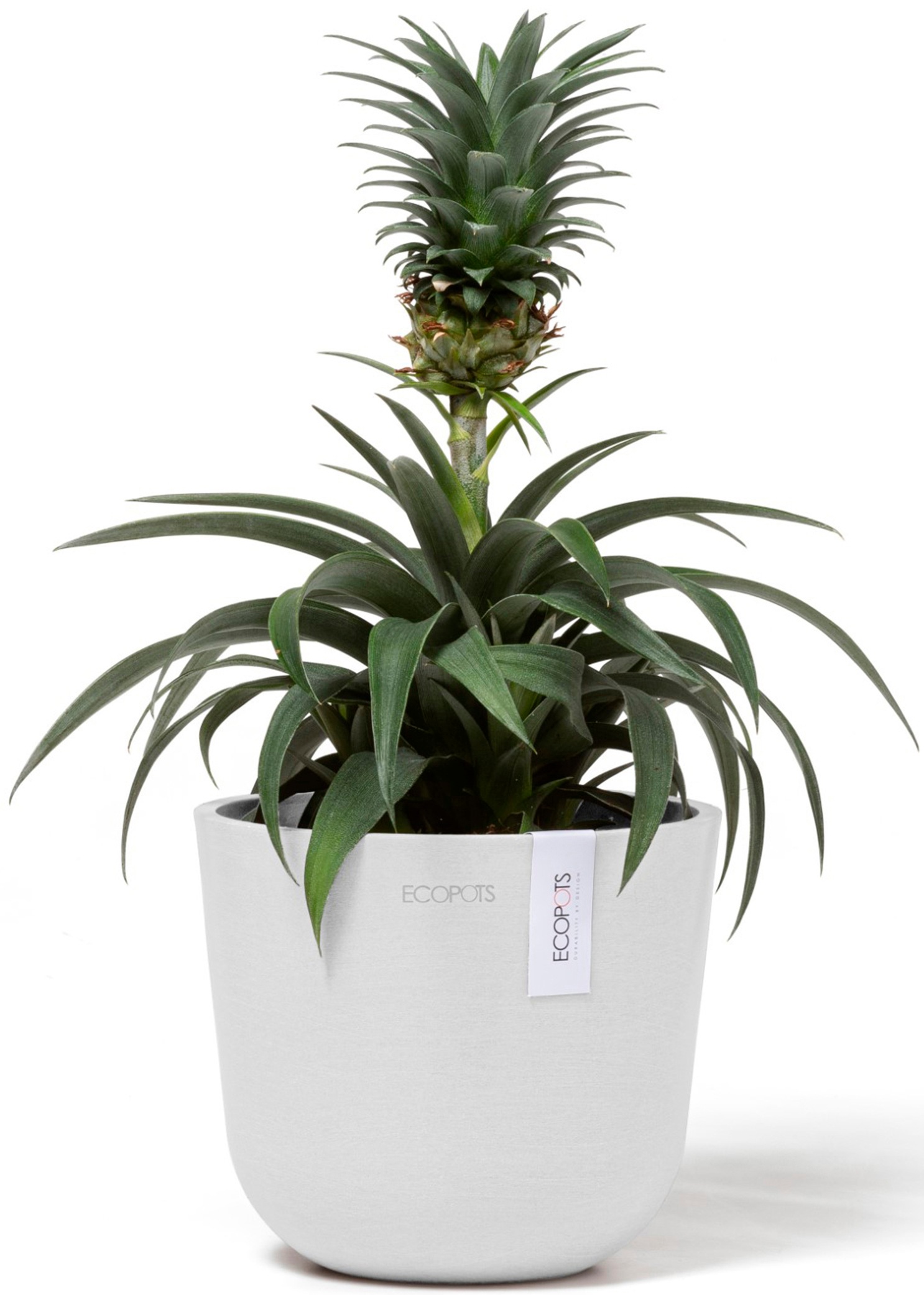 ECOPOTS Blumentopf »Oslo Mini 16 Weiß«, für den Innenbereich