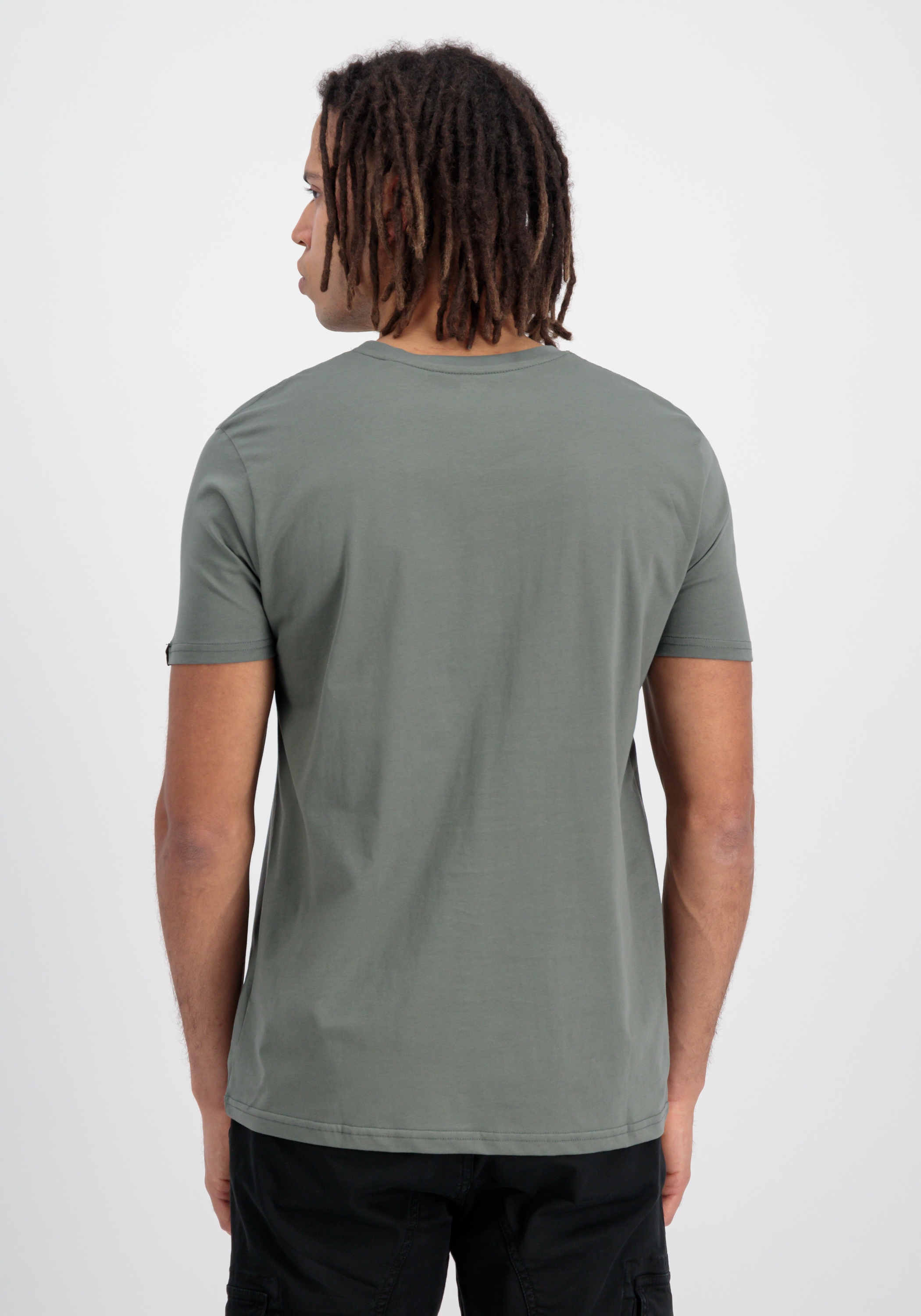 Alpha Industries T-Shirt »Basic T-Shirt BL Rainbow Ref. T-Shirt«