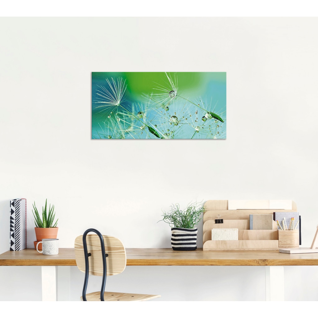 Artland Wandbild »Glitzernde Pustblumen mit Wassertropfen«, Blumen, (1 St.)