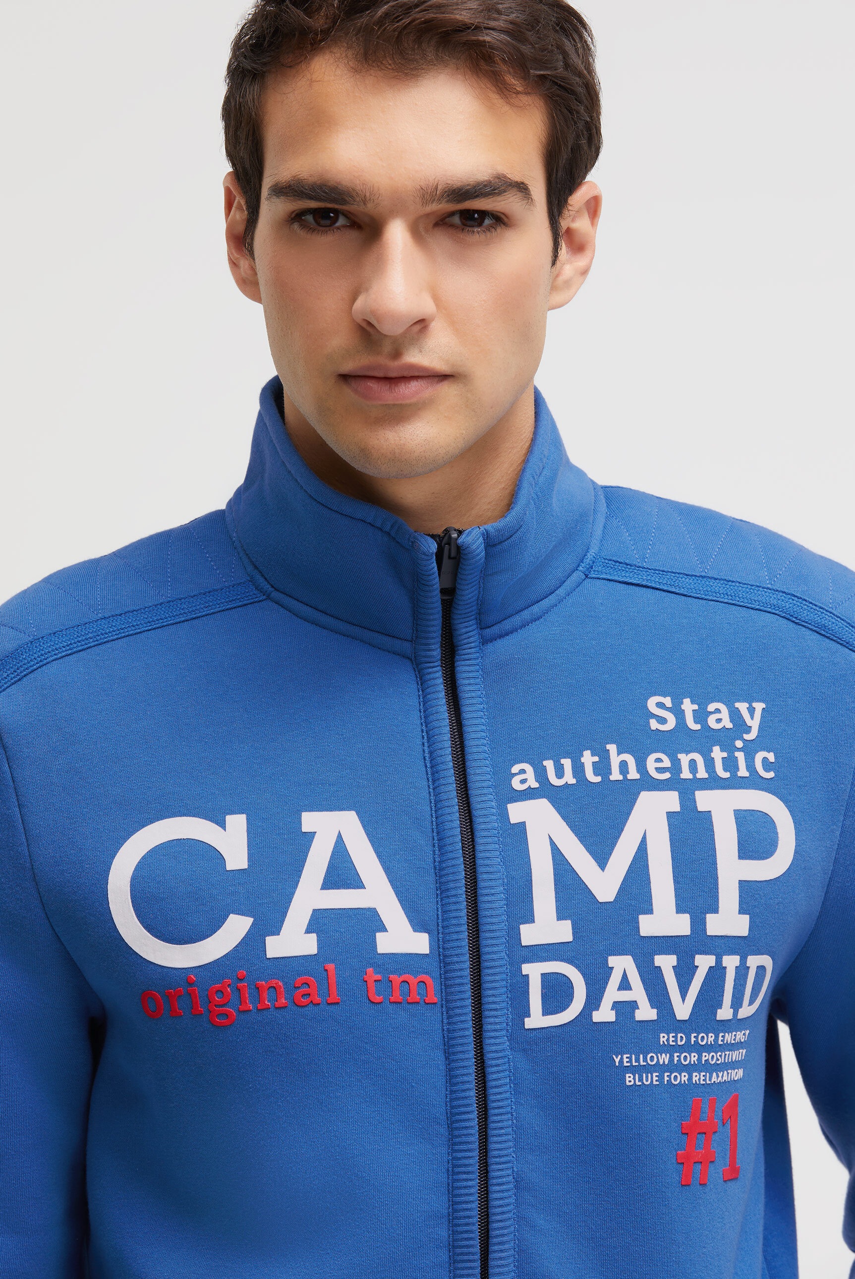 Sweatjacke CAMP DAVID, Herren, Gr. 4XL, true blau, Material: 65% Baumwolle, 35% Polyester, bedruckt, bestickt, relaxed fit normal, hoch geschlossener Ausschnitt, eingesetzt Rippbündchen, Sweatjacken Sweatjacke, mit Stehkragen 3