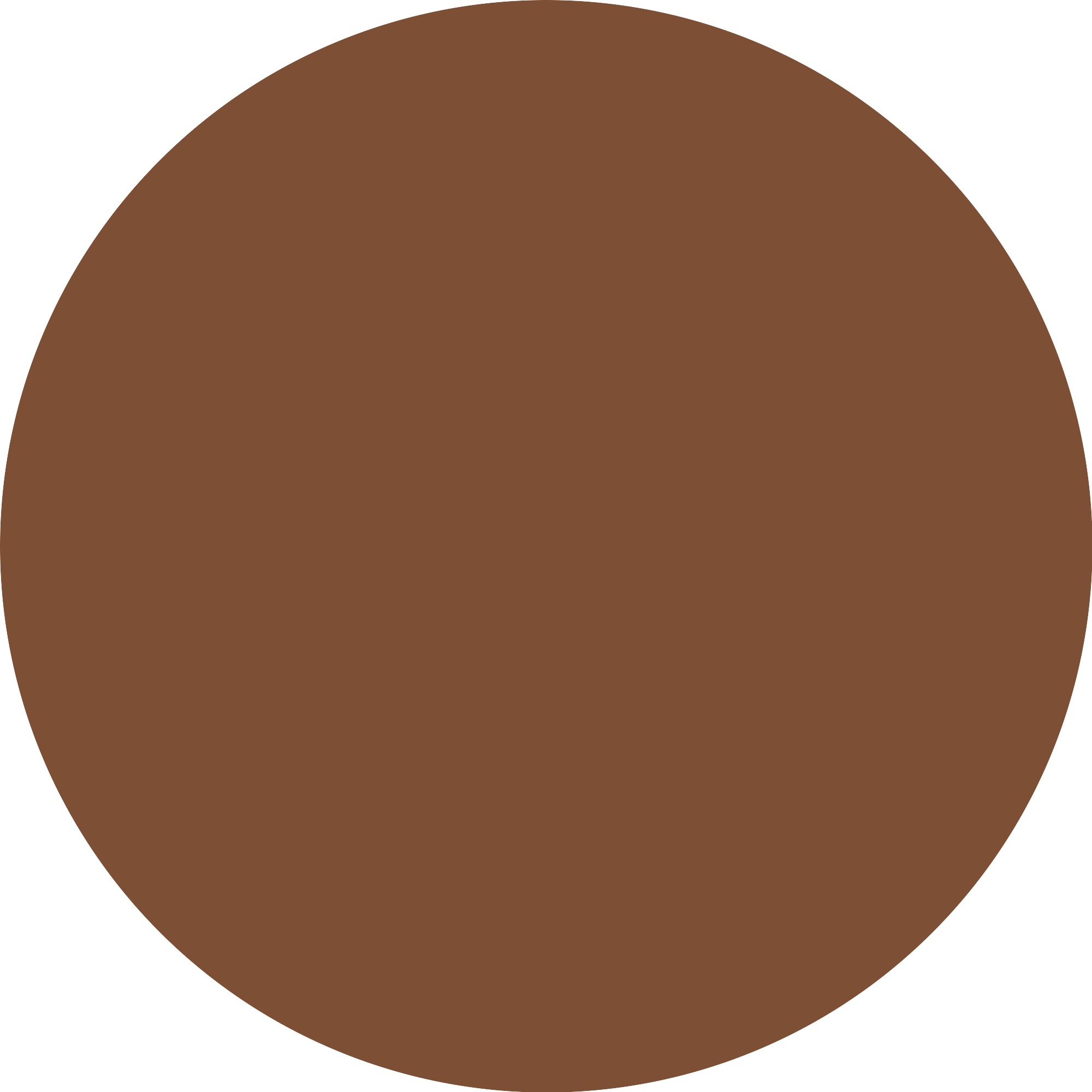 Essence Foundation »Silky BLUR HYDRATING LONGWEAR FOUNDATION«