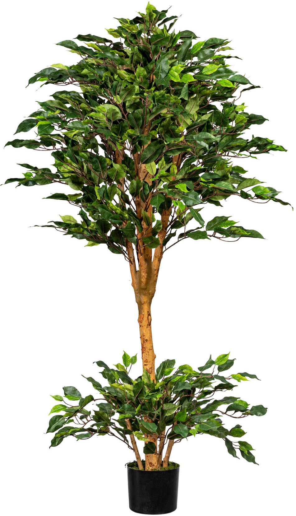 Creativ green Kunstbaum »Ficus Benjamini«