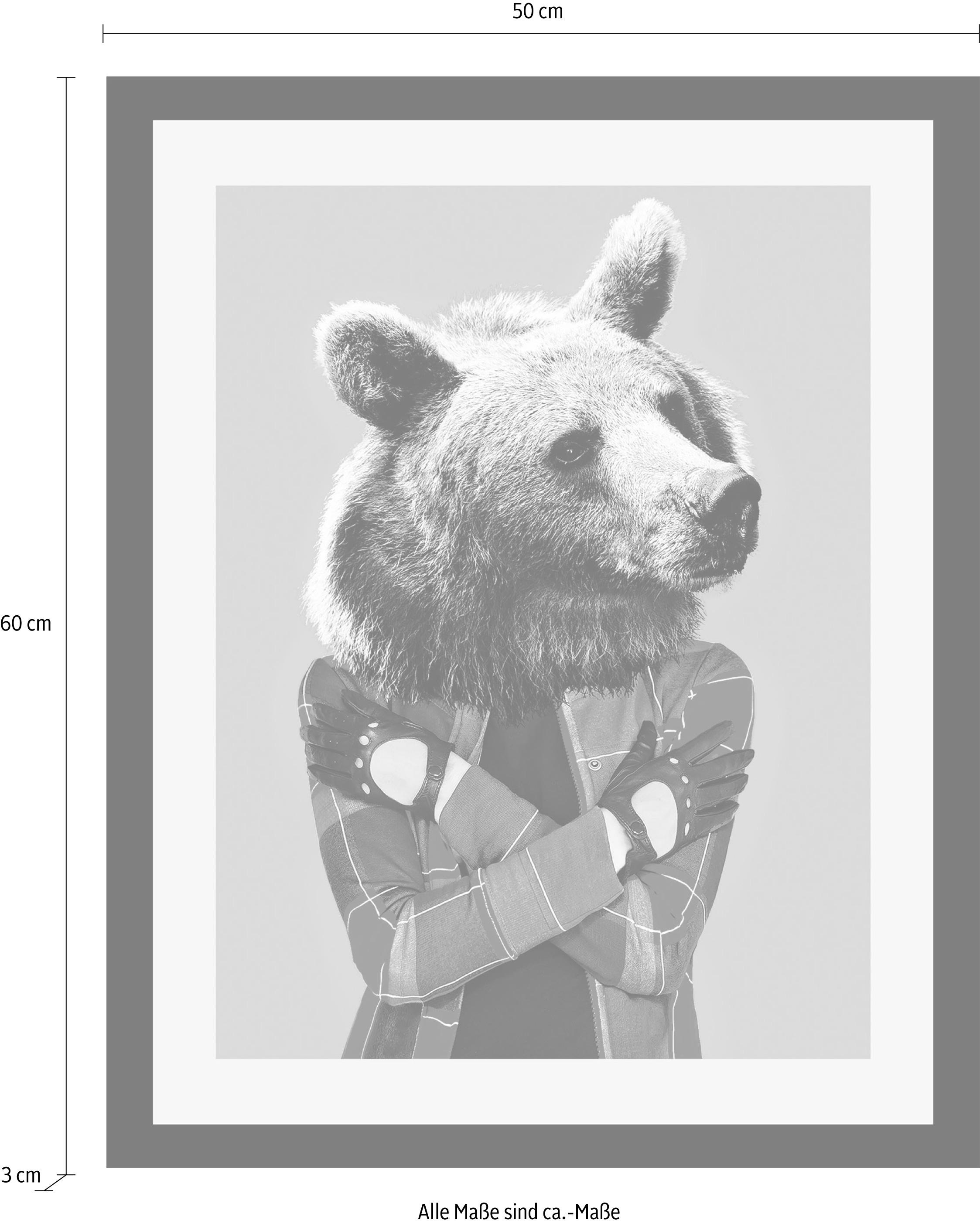 queence Bild »Bär«, Tiere-Foto-Bär-Kunst-Art-Humor, HD Premium Poster-Druck inkl. Holzrahmen