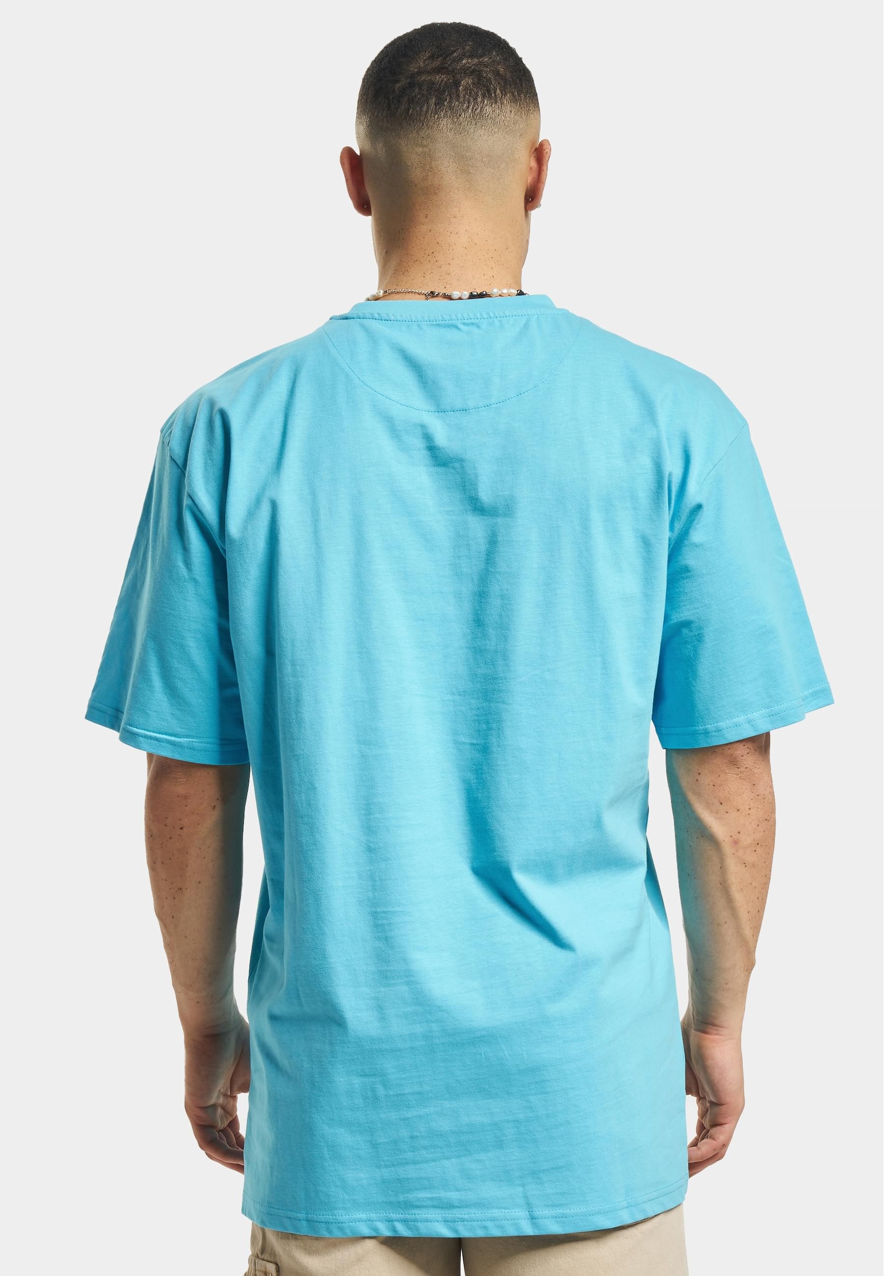Karl Kani T-Shirt »Karl Kani Herren KM-TE011-090-19KK Small Signature Essential Tee«, (1 tlg.)