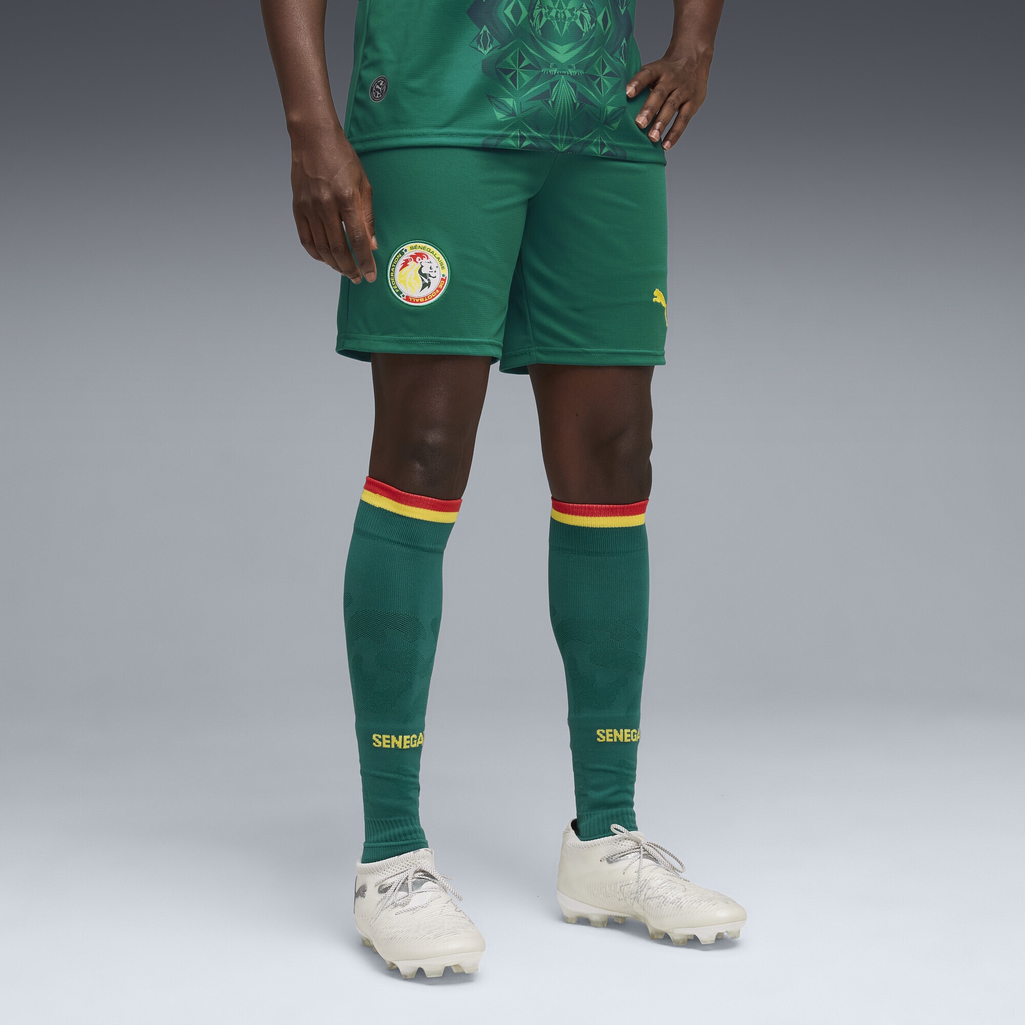 PUMA Sporthose »Senegal Shorts Herren«