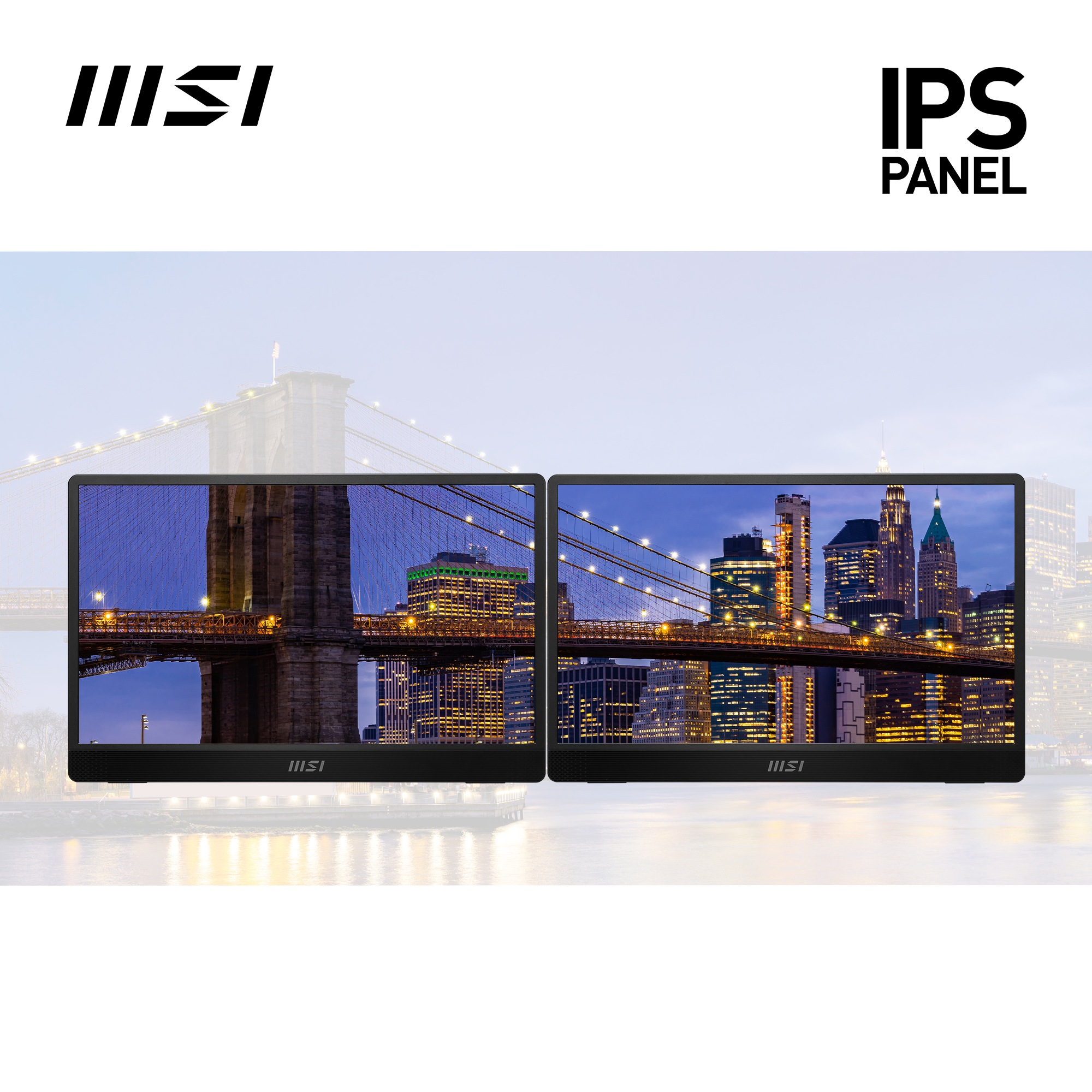 MSI Portabler Monitor »PRO MP161«, 40 cm/16 Zoll, 1920 x 1080 px, Full HD, 4 ms Reaktionszeit, 60 Hz, 3 Jahre Herstellergarantie, USB-C
