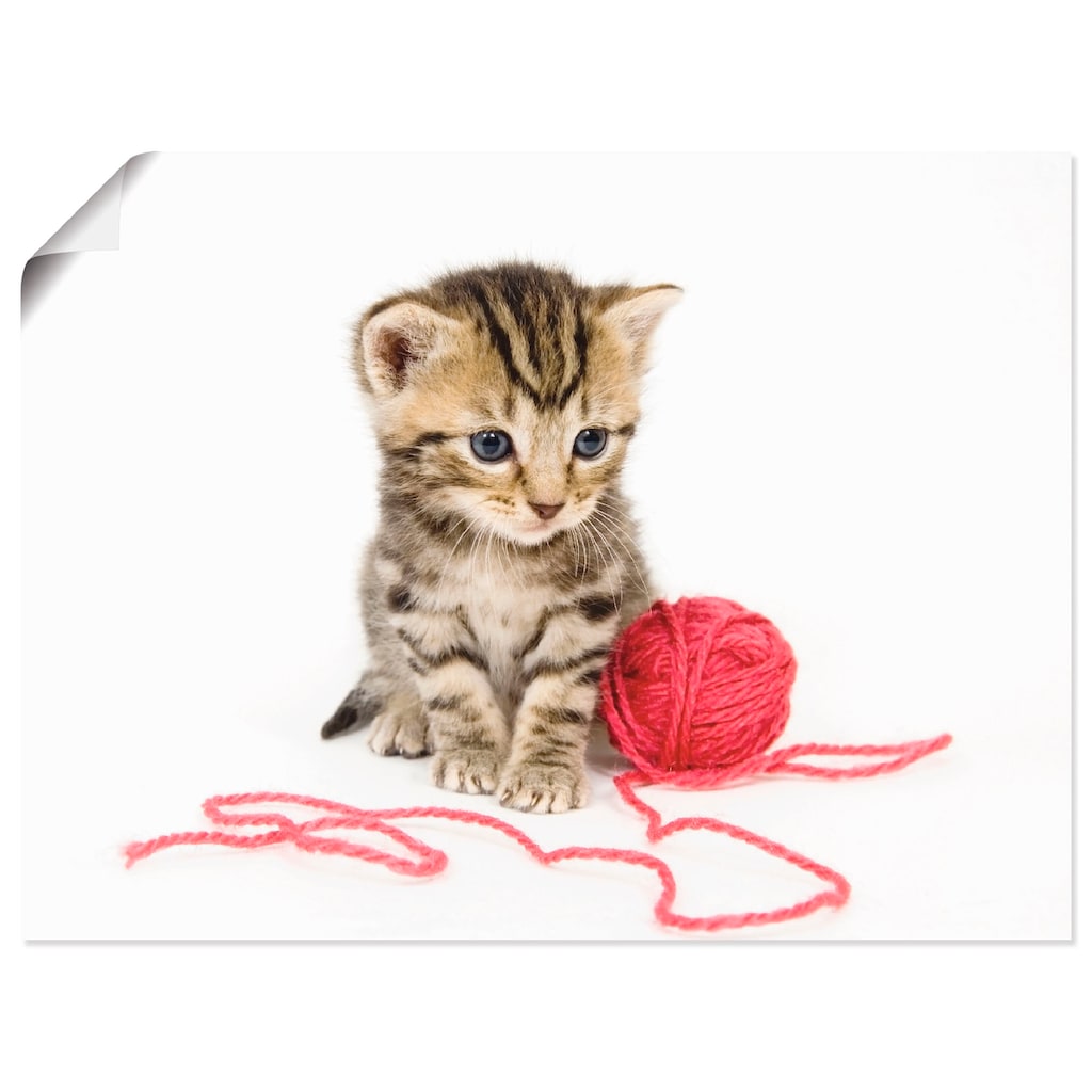Artland Wandbild »Kätzchen mit rotem Garnball«, Haustiere, (1 St.)