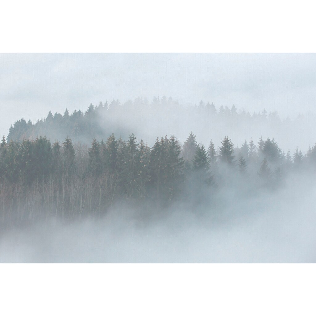A.S. Création Leinwandbild »Misty Forest«, Wald, (1 St.)