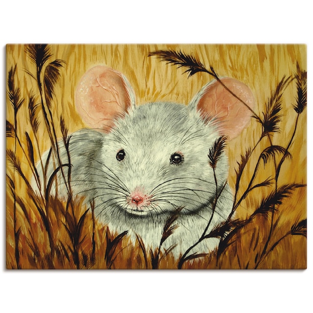 Black Friday Artland Wandbild »Maus«, Haustiere, (1 St.), als Alubild,  Leinwandbild, Wandaufkleber oder Poster in versch. Größen | BAUR