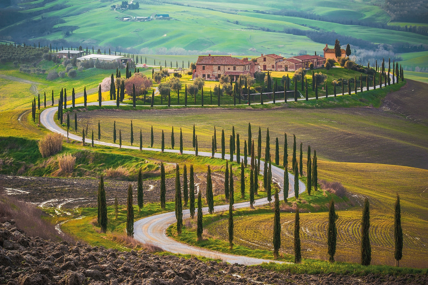 Papermoon Fototapete "Fields in Tuscany" glatt