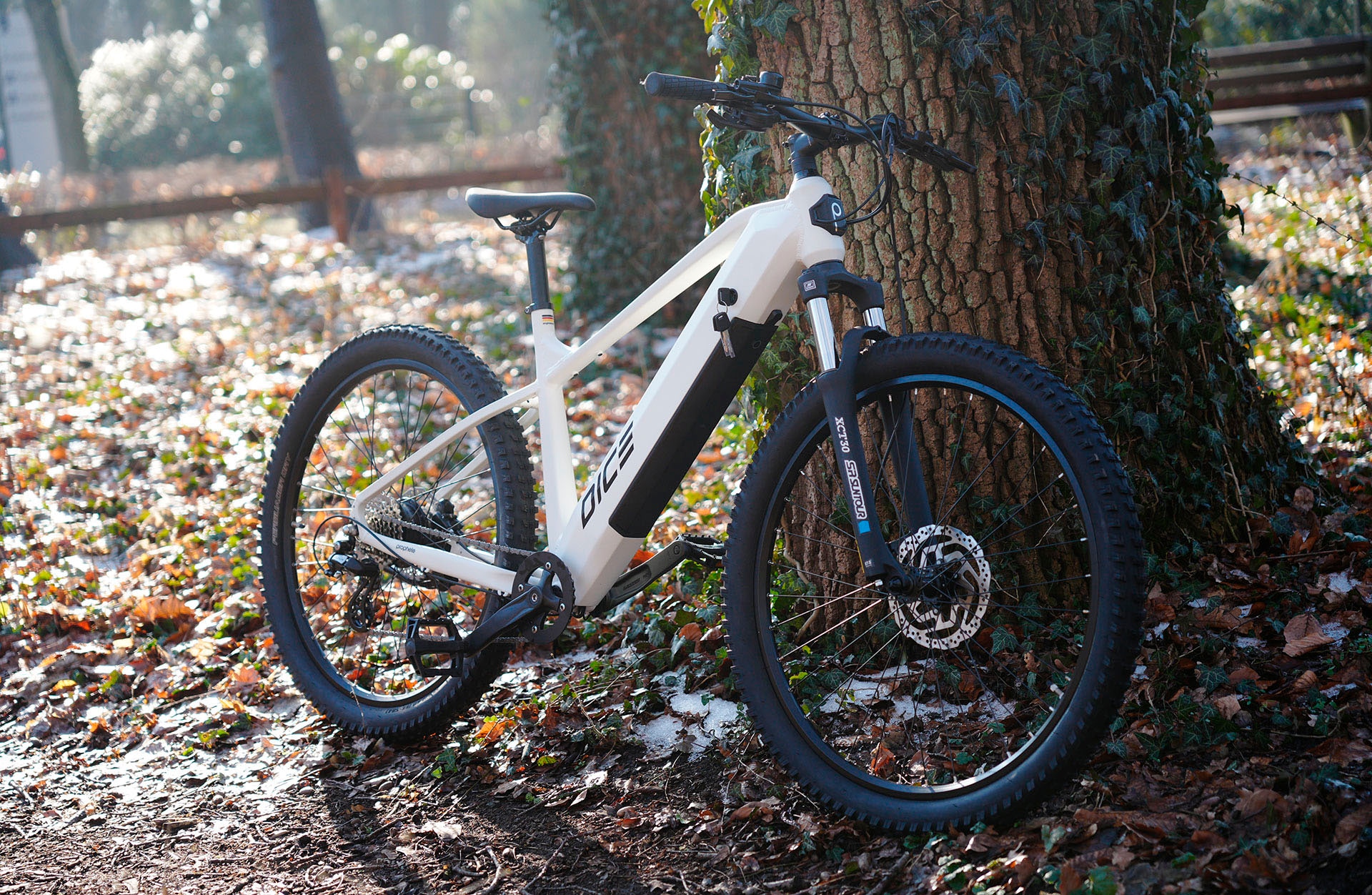 Prophete »Dice 1.8« 8 Gang Shimano Altus Schaltwerk Kettenschaltung Heckmotor 250 W