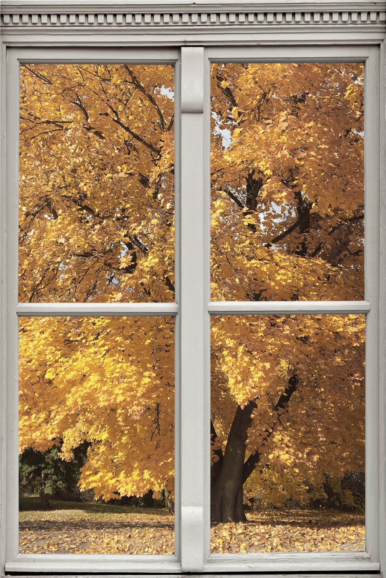 queence Wandsticker "Baum", Wandsticker, Wandbild, selbstklebend, 3D, Fenster