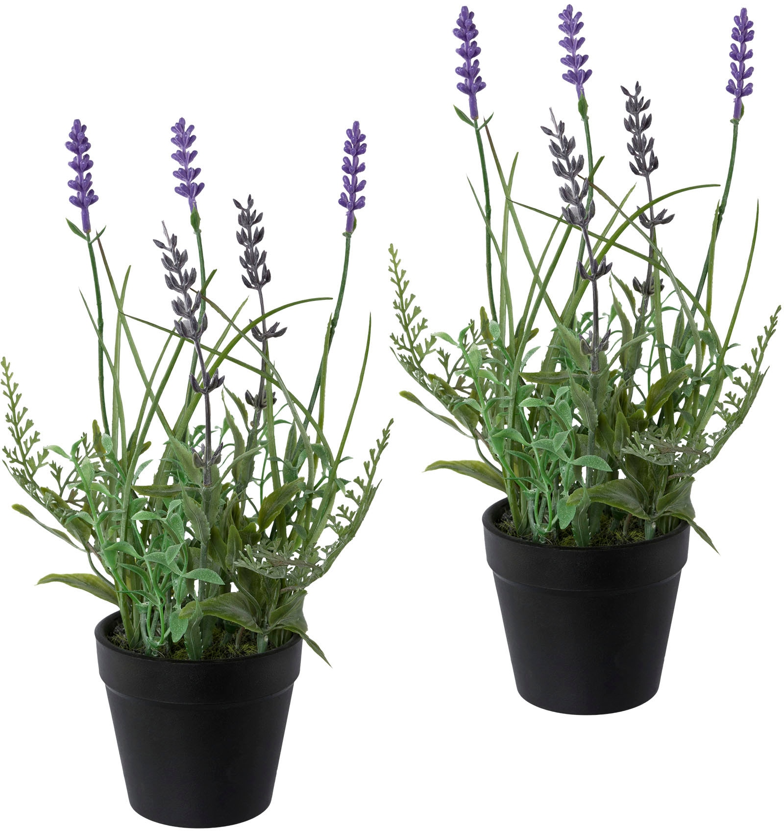 Creativ green Kunstpflanze »Lavendel«, 3er Set, im Kunststofftopf