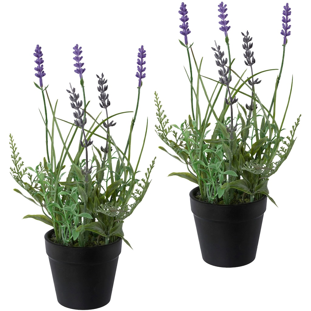 Creativ green Kunstpflanze »Lavendel«