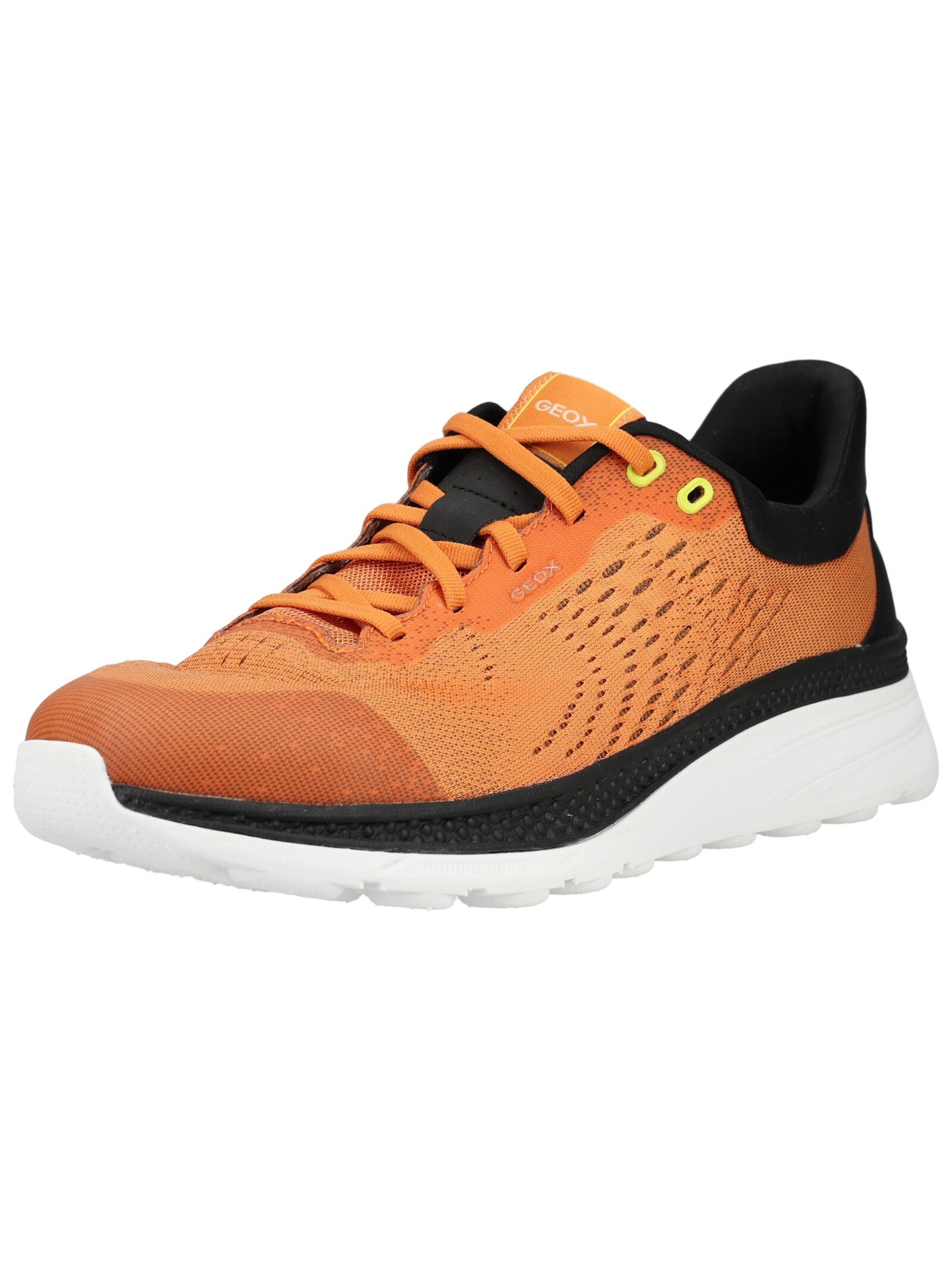 Geox "Geox Sneaker Textil"