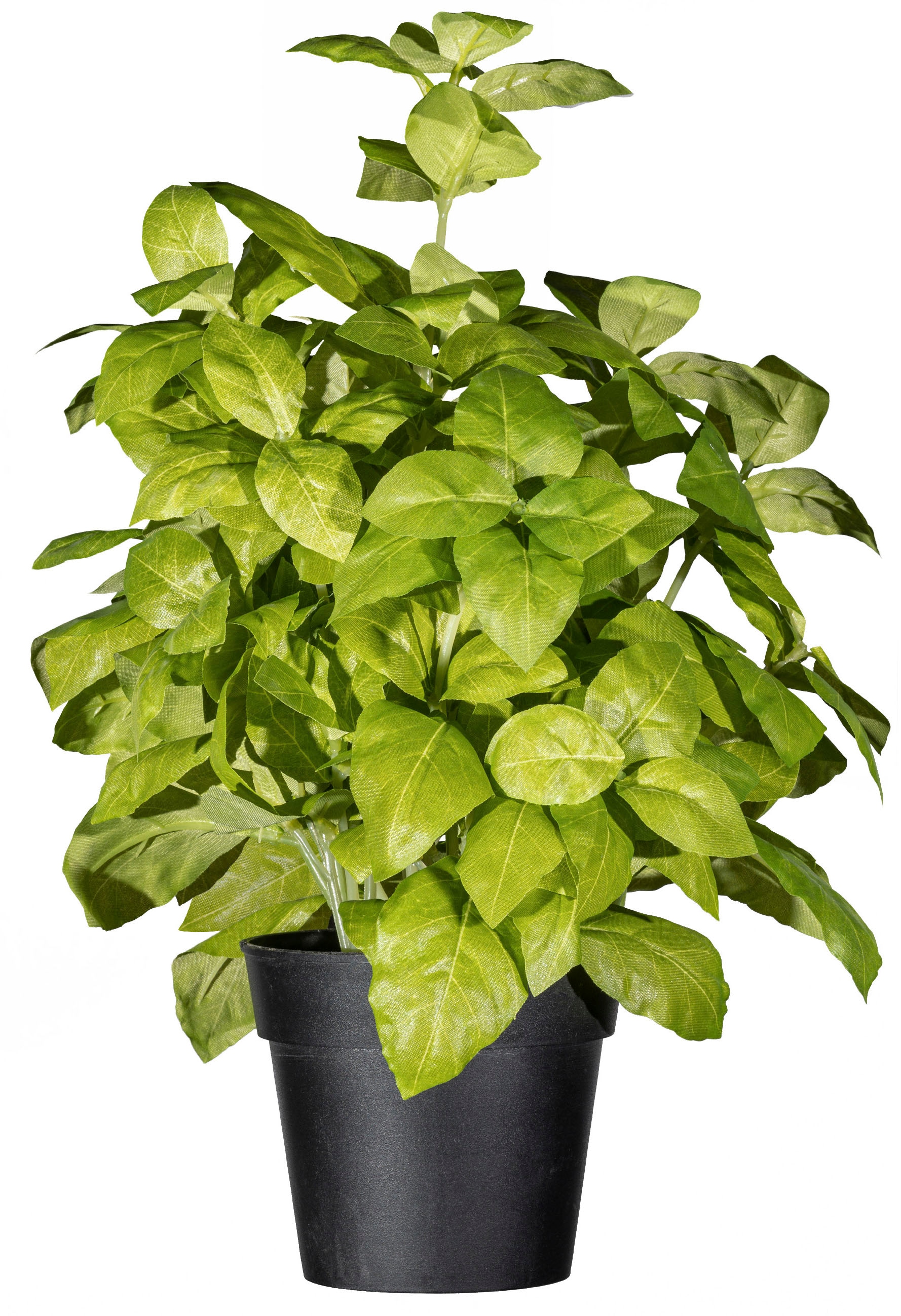 Creativ green Kunstpflanze »Basilikumbusch«