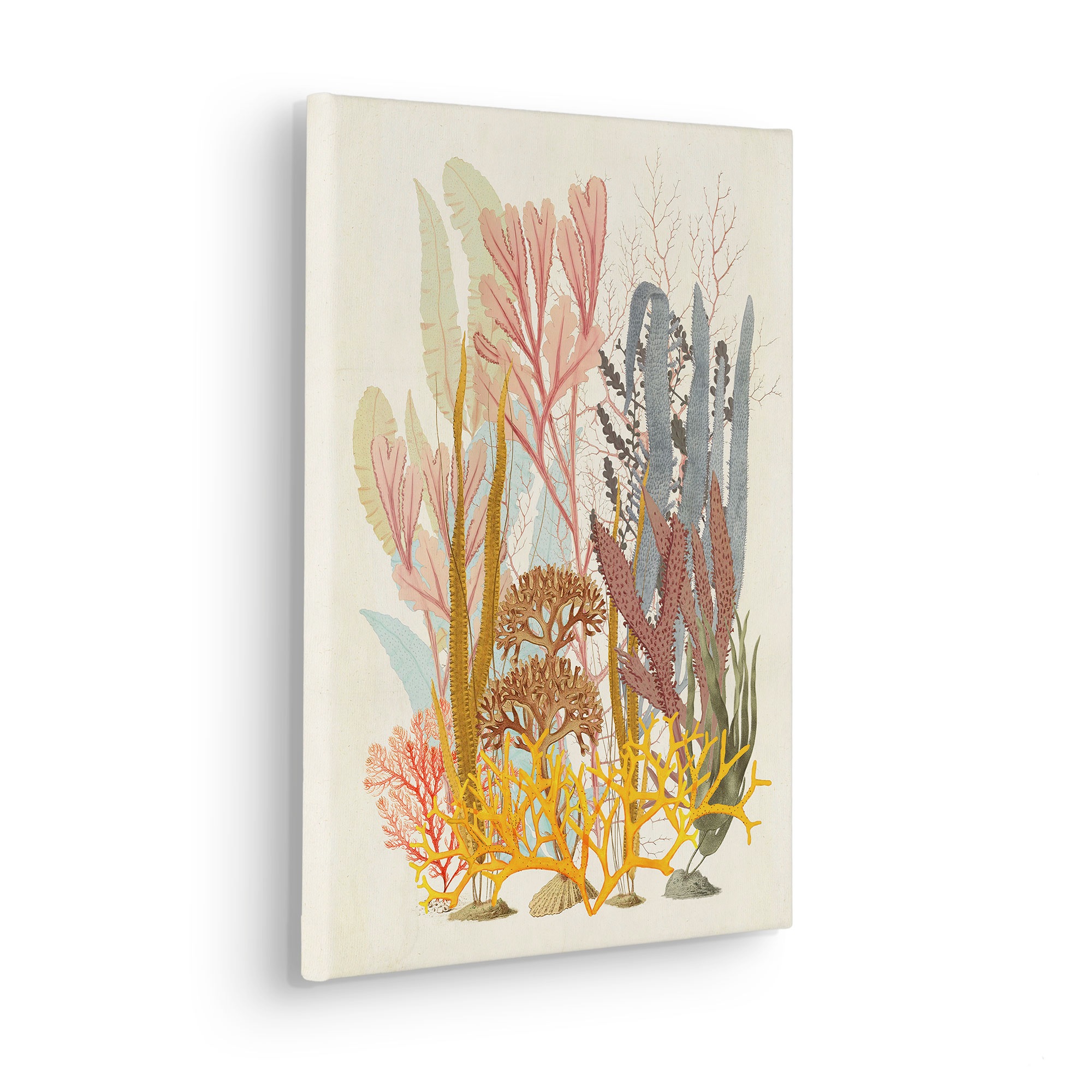 Komar Leinwandbild "Coral Aqua - Größe 30 x 40 cm" Natur 1 Stk. tlg. Keilra günstig online kaufen