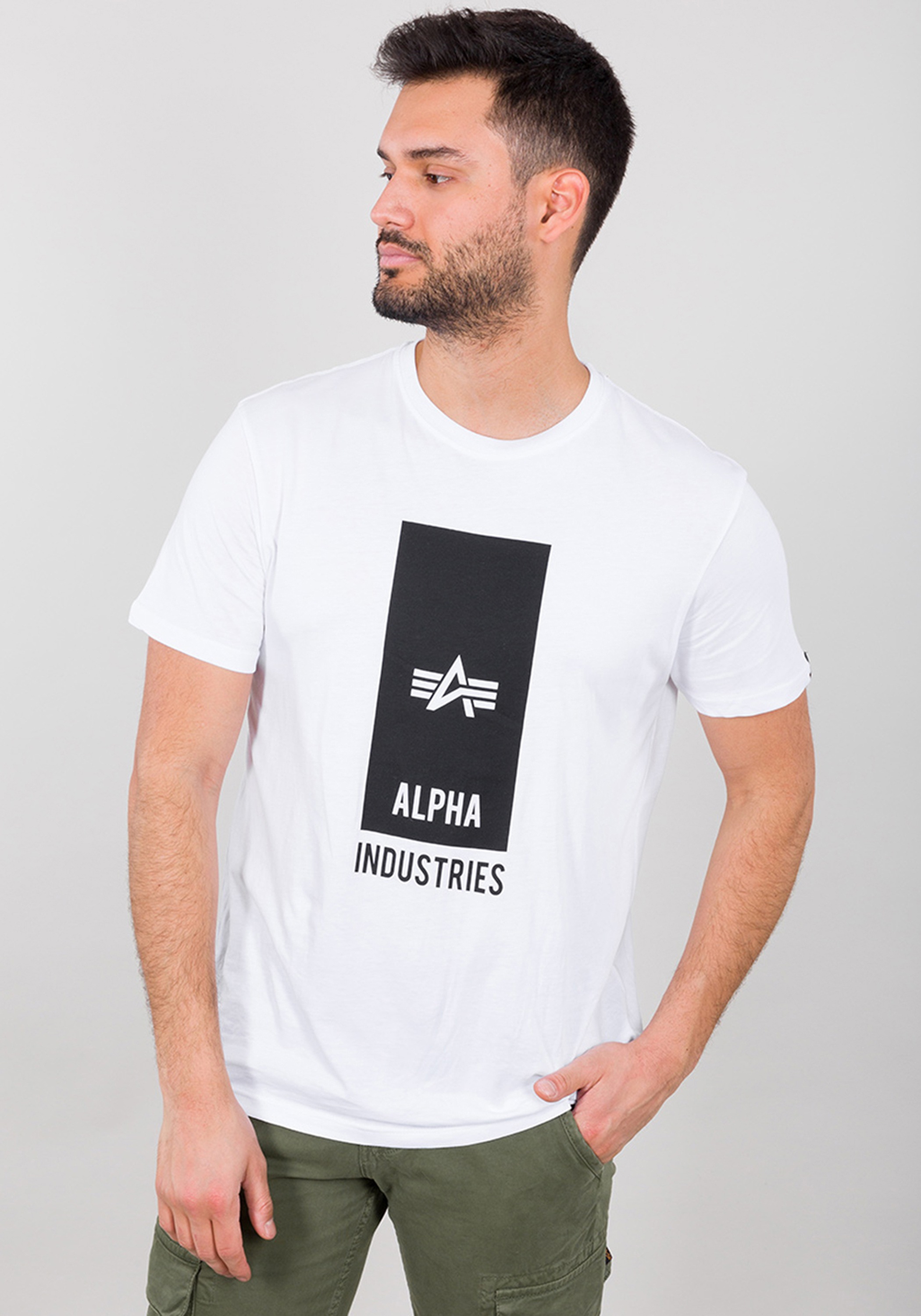 Alpha Industries T-Shirt »Block Logo T-Shirt«