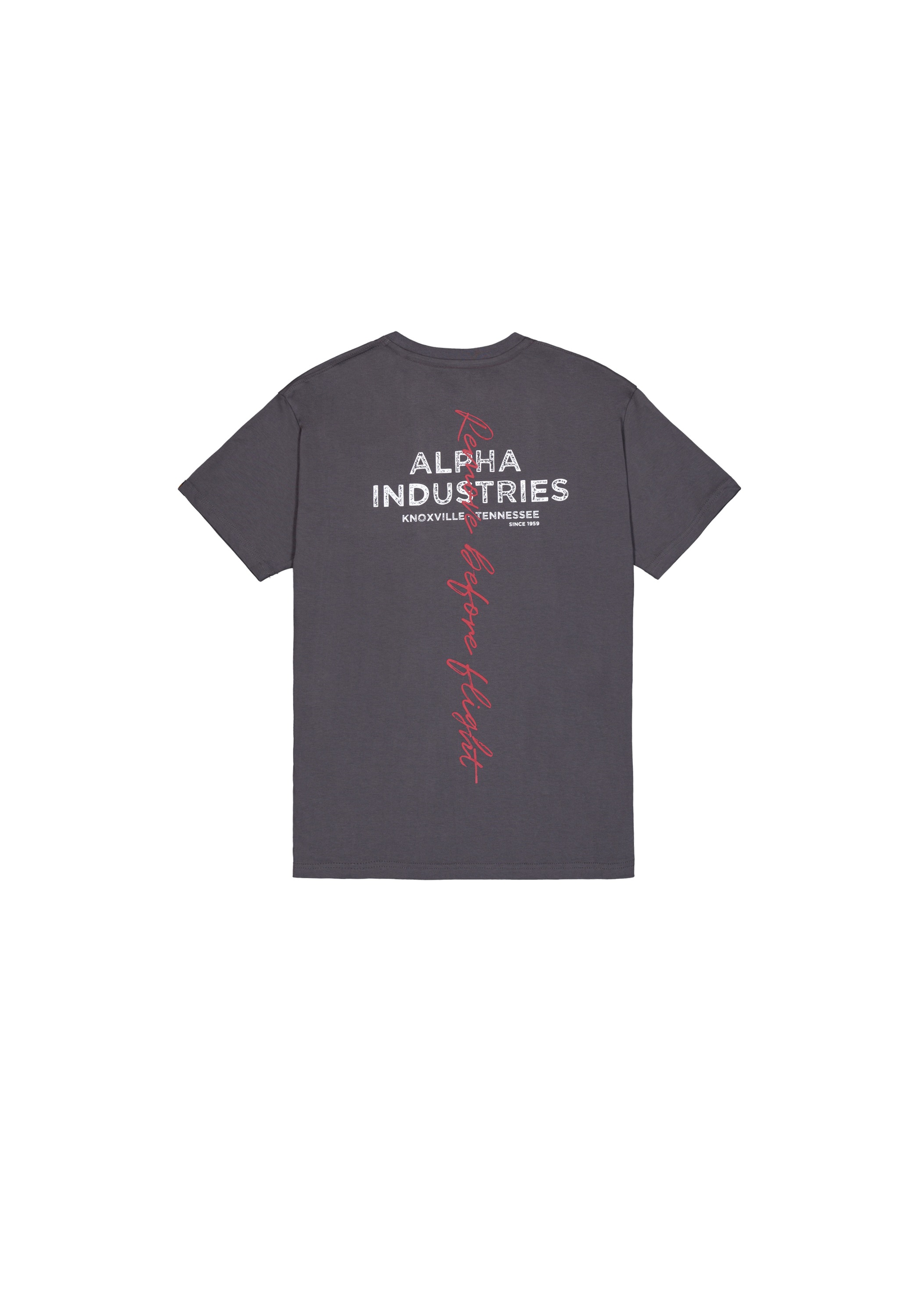 Alpha Industries T-Shirt "Signature Backprint T-Shirt" günstig online kaufen