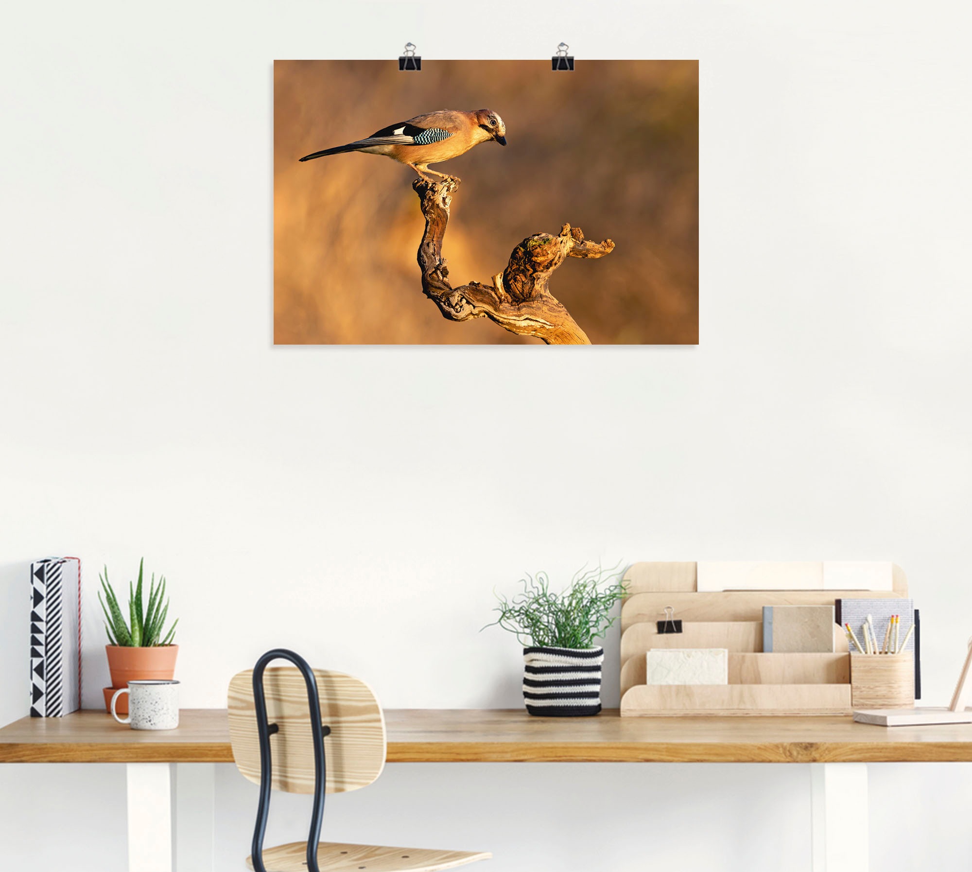 Artland Wandbild "Eichelhäher", Vogelbilder, (1 St.), als Leinwandbild, Pos günstig online kaufen