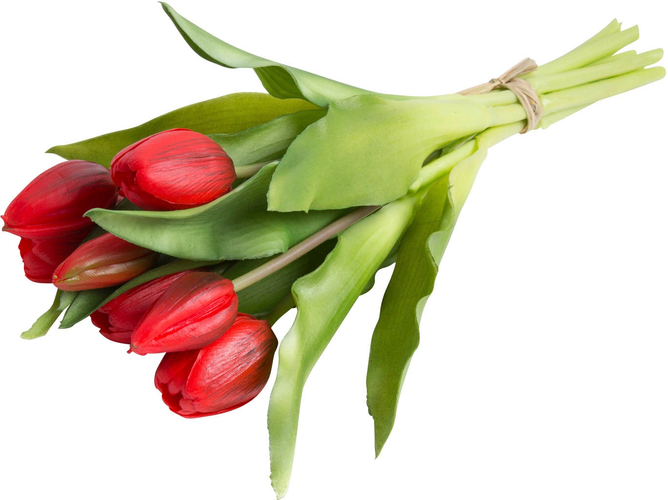 Botanic-Haus Kunstblume »Willa«, Tulpenbündel im 7er-Set