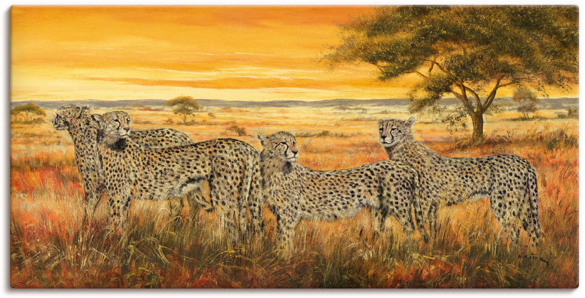 Black Friday Artland Wandbild »4 Geparden«, Wildtiere, (1 St.), als  Alubild, Leinwandbild, Wandaufkleber oder Poster in versch. Größen | BAUR