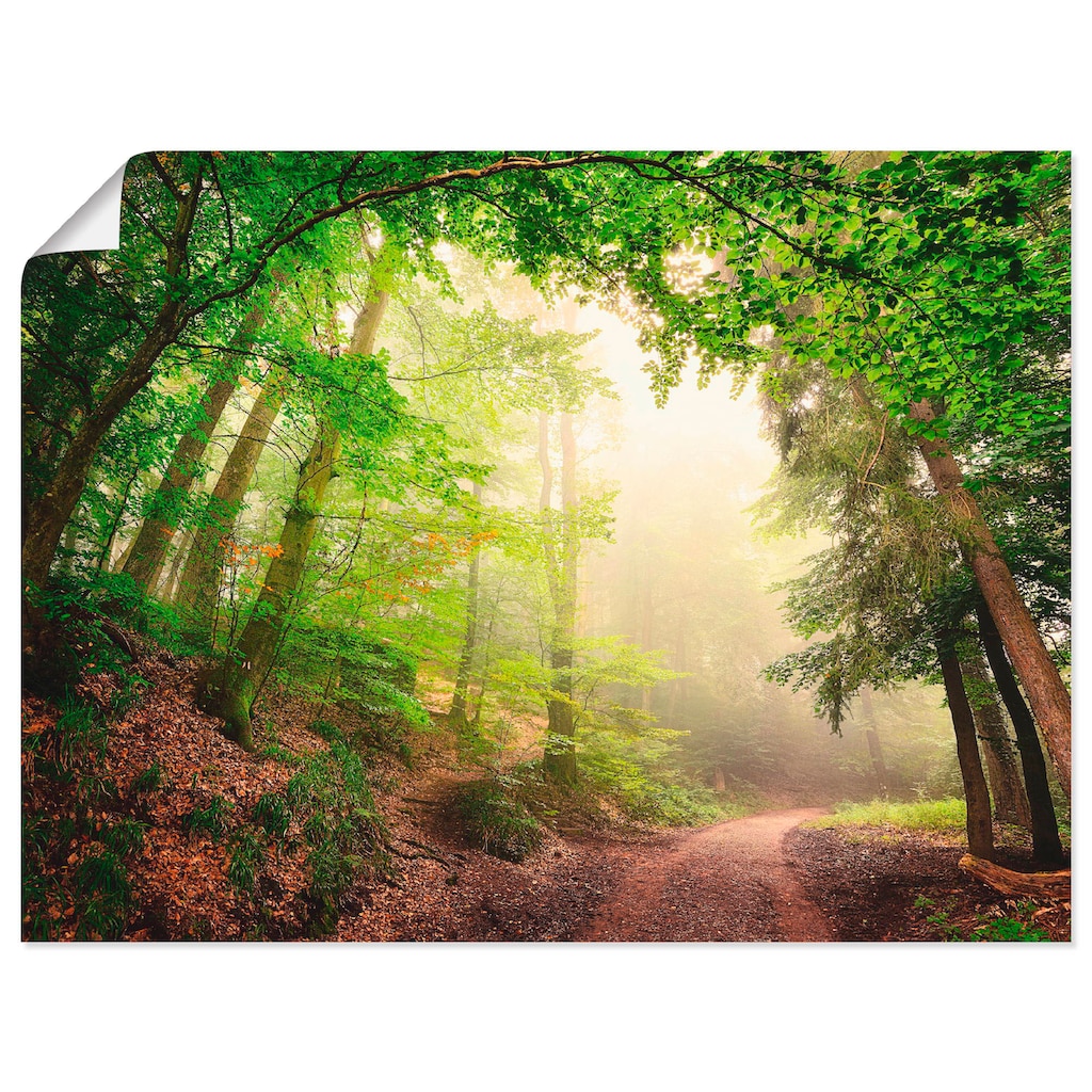Artland Wandbild »Natürliche Torbögen durch Bäume«, Wald, (1 St.)