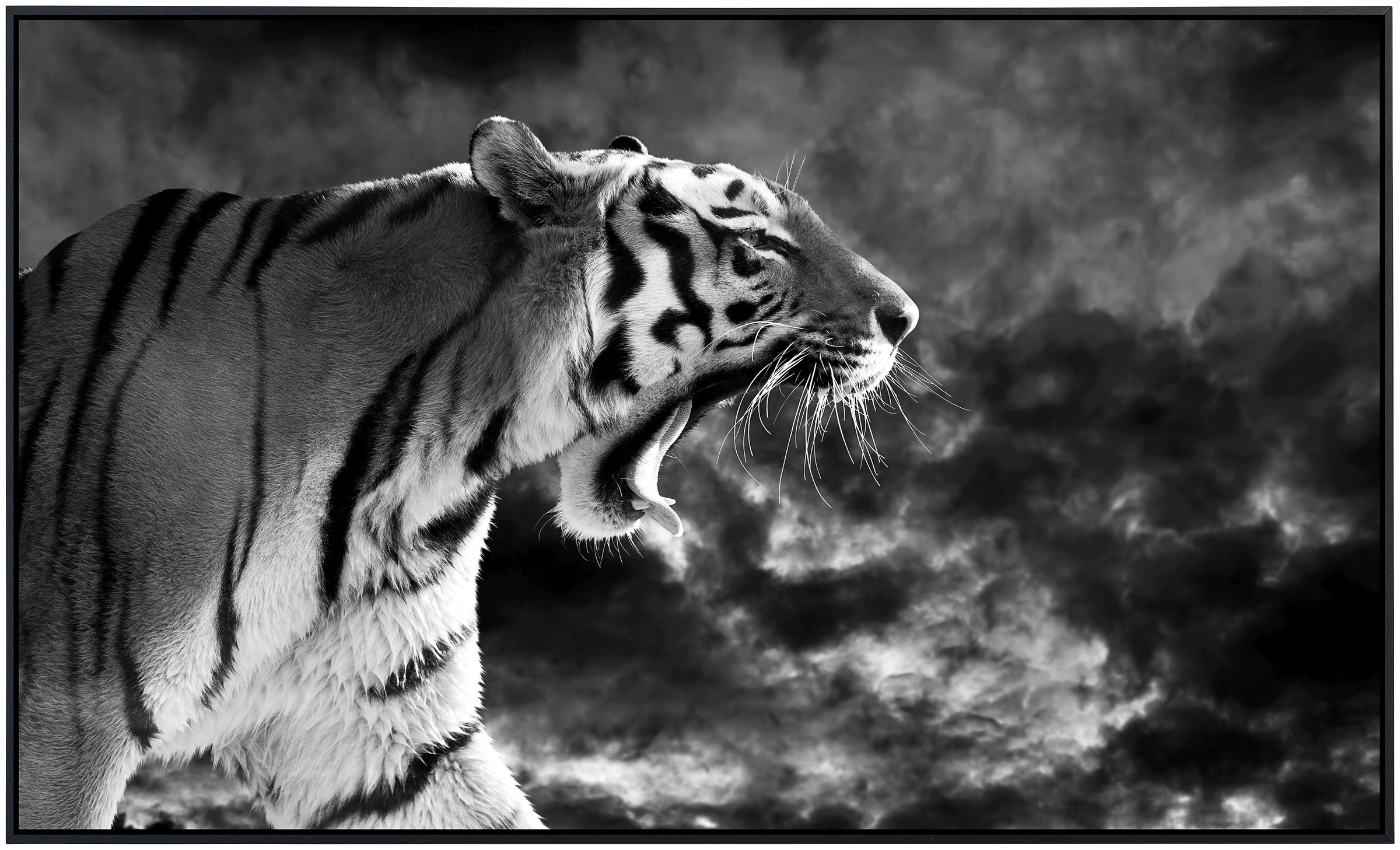 Papermoon Infrarotheizung »Tiger Schwarz & Weiß«, sehr angenehme Strahlungswärme