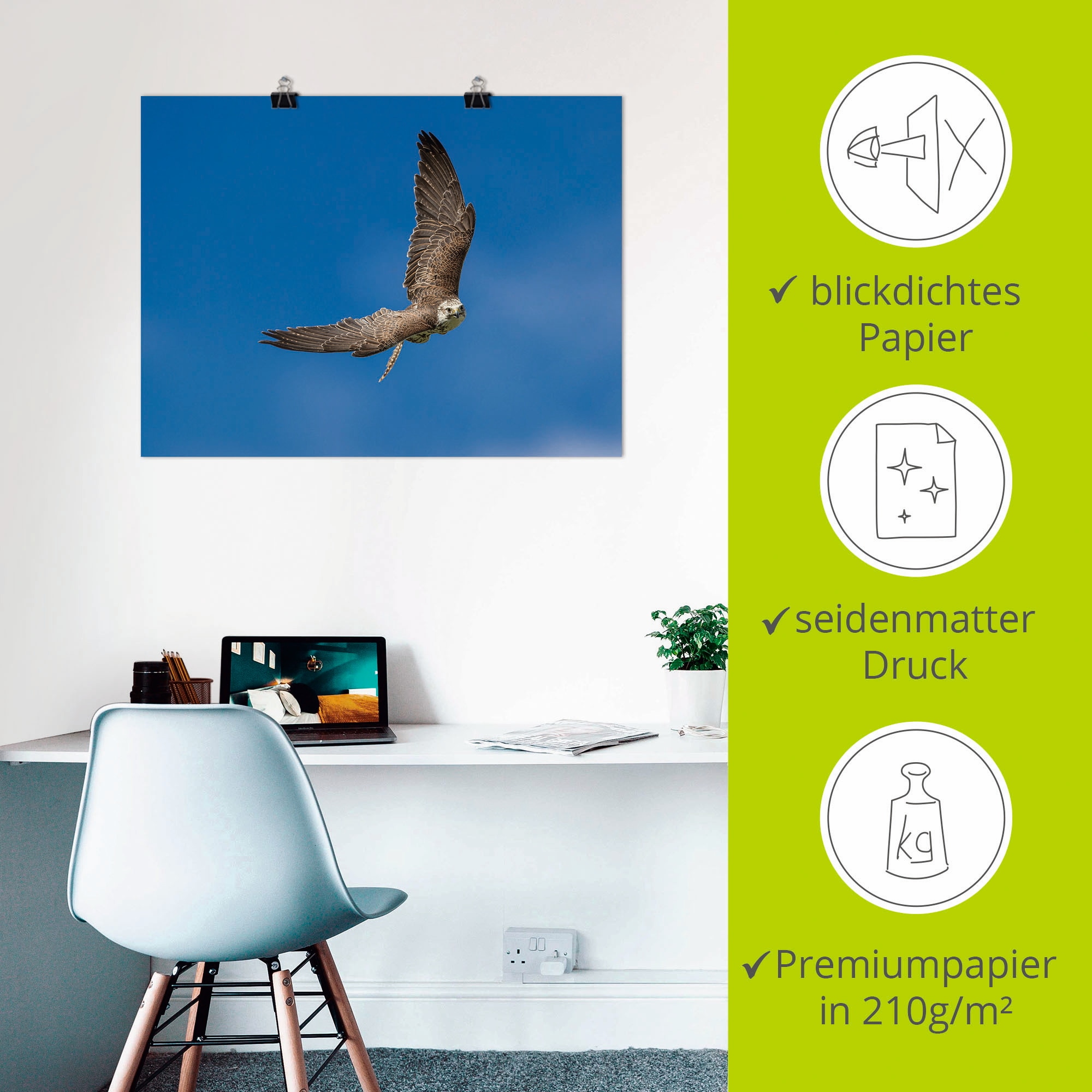 Artland Wandbild »Der Falke«, Vögel, (1 St.), als Leinwandbild, Poster in verschied. Größen