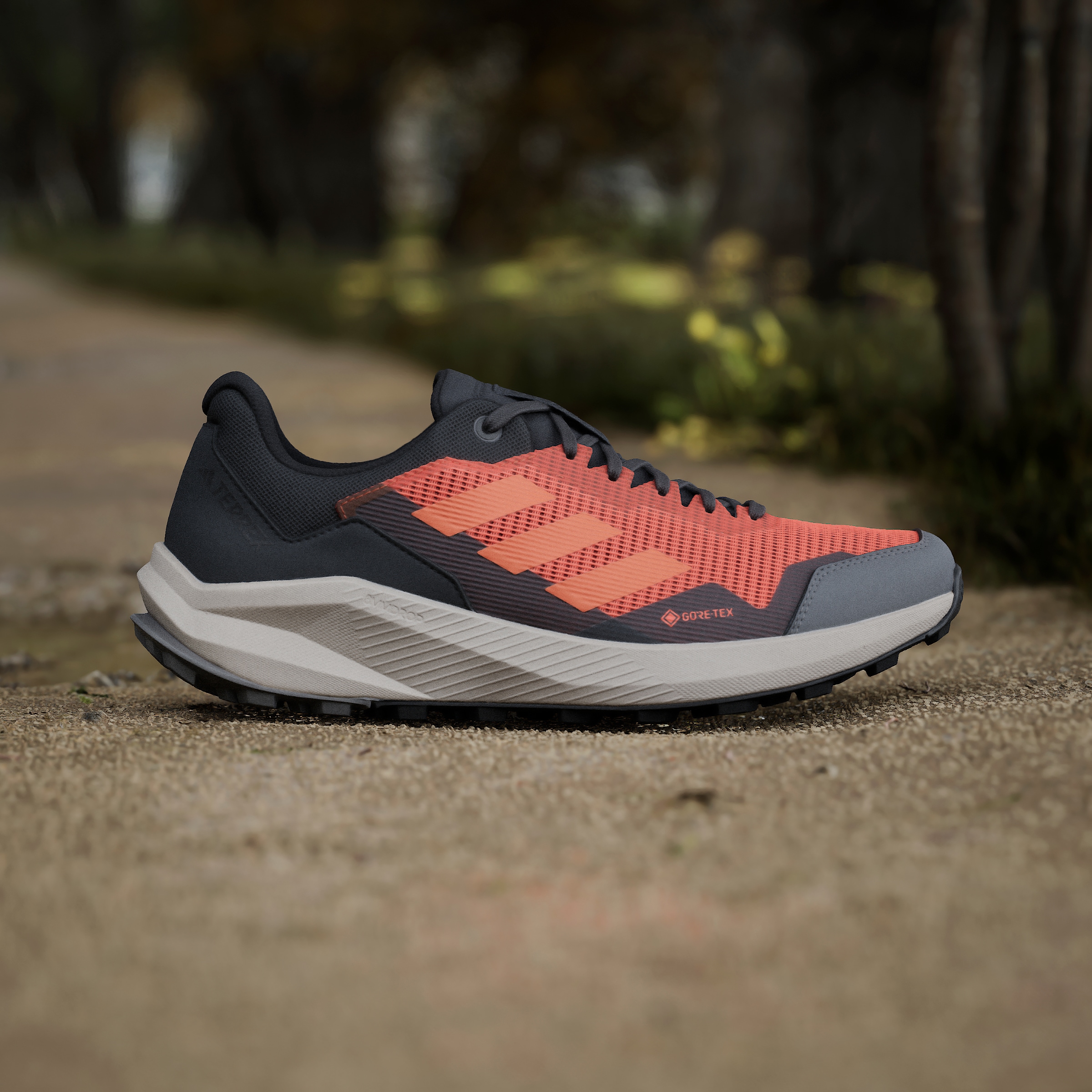 adidas TERREX Trailrunningschuh »TRAIL RIDER GORE-TEX TRAILRUNNING«, wasserdicht