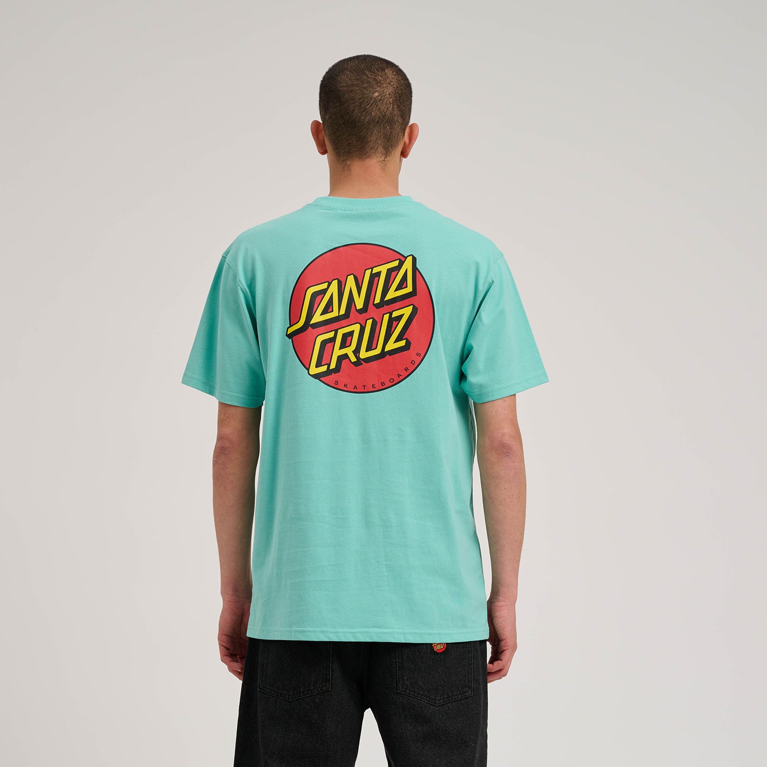 Santa Cruz T-Shirt "DILLON SHORTS" günstig online kaufen