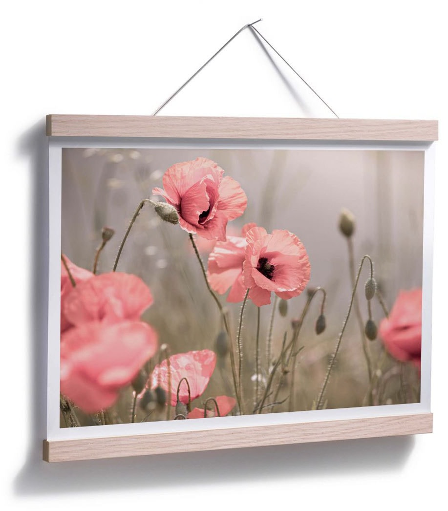 Wall-Art Poster »Romantische Mohnblume«, Blumen, (1 St.) bestellen | BAUR