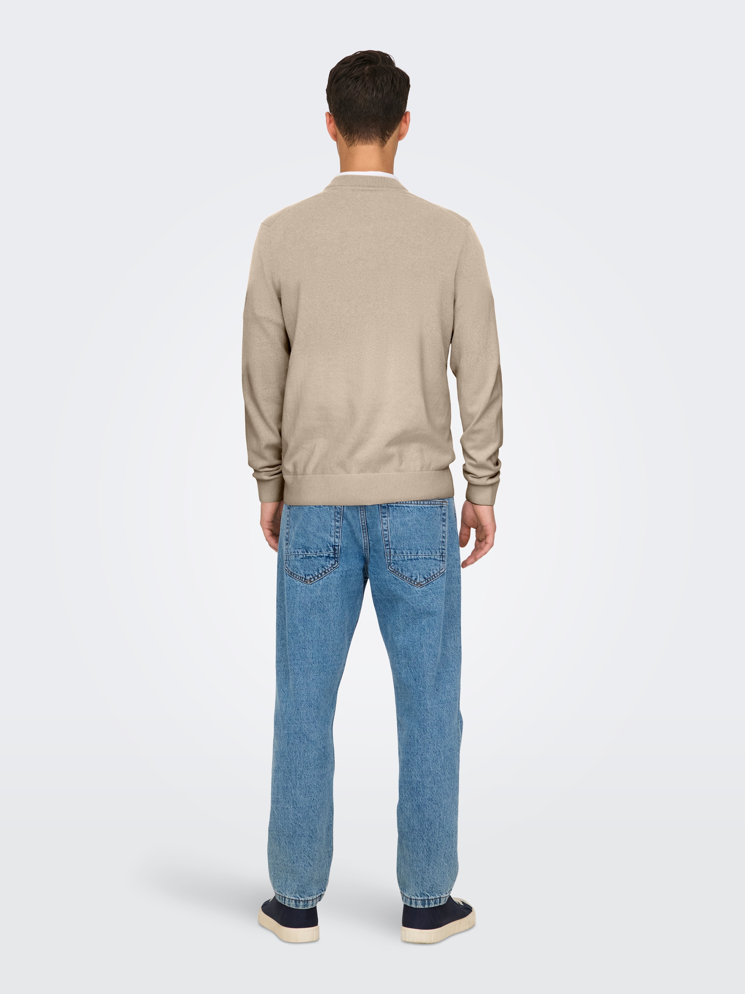ONLY & SONS Rundhalspullover »ONSREX LIFE REG 12 CREW KNIT«