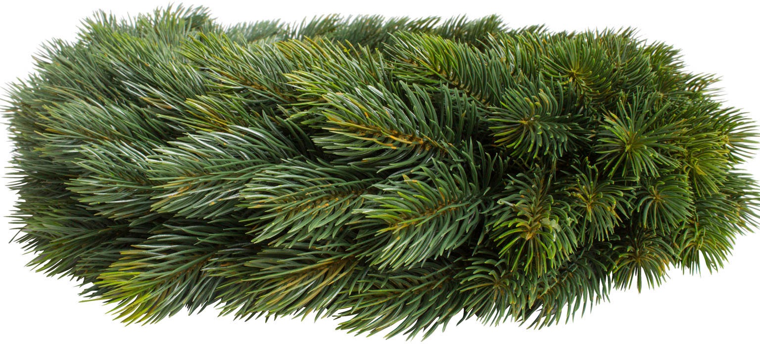 Botanic-Haus Kunstkranz "Edel-Adventskranz einseitig"