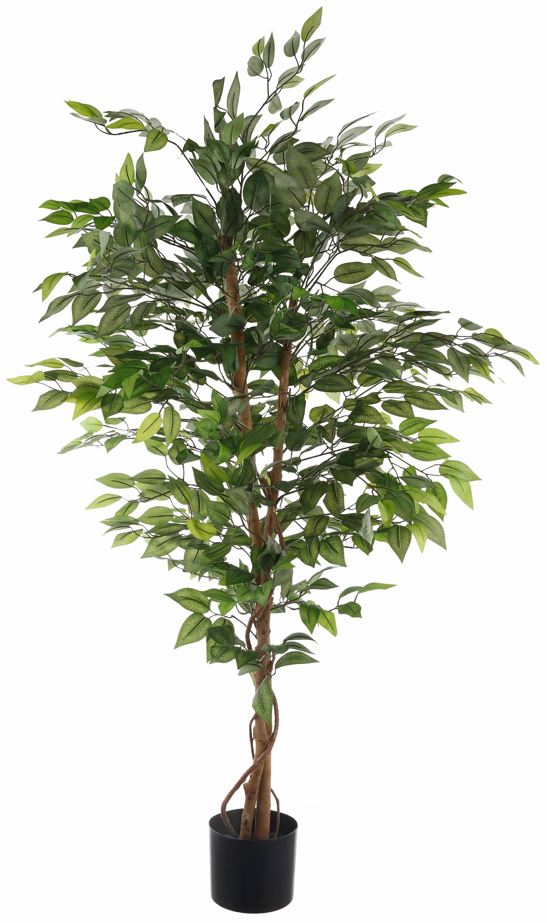 Creativ green Kunstpflanze "Ficus Benjamini"