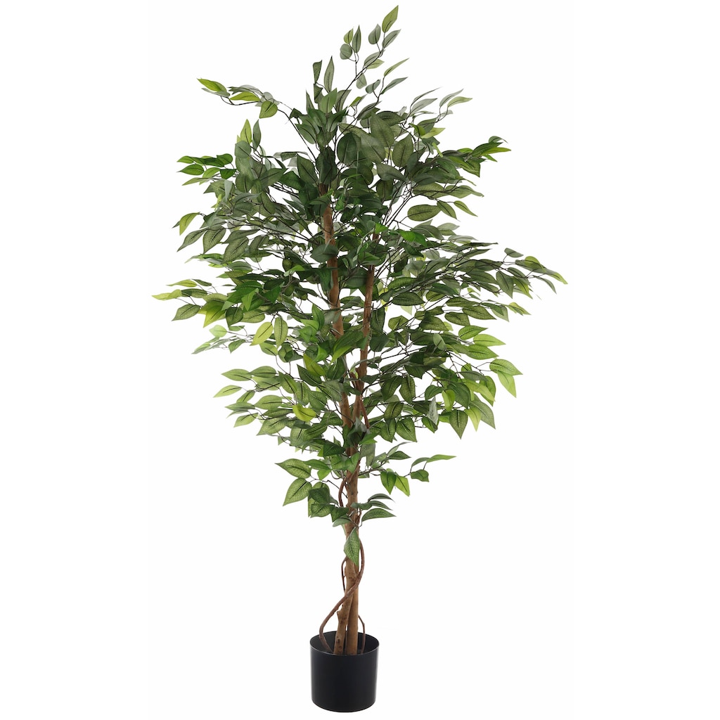 Creativ green Kunstpflanze »Ficus Benjamini«