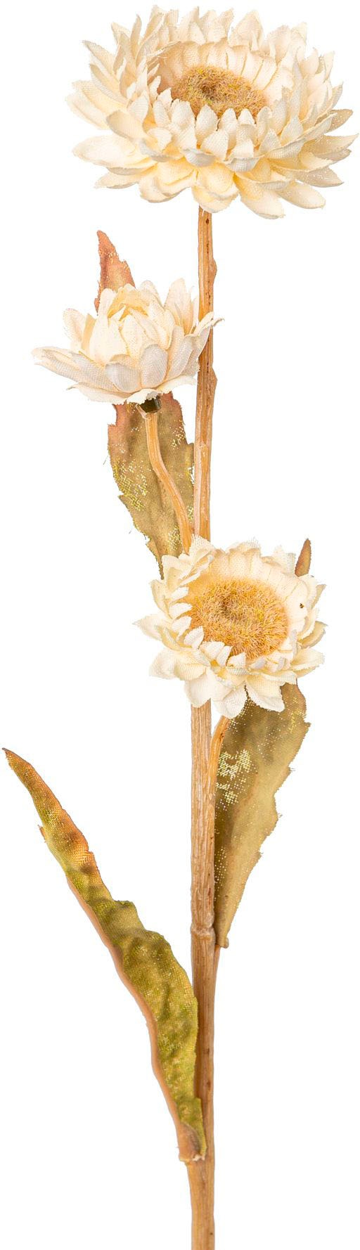 Creativ green Kunstblume "Strohblume" günstig online kaufen