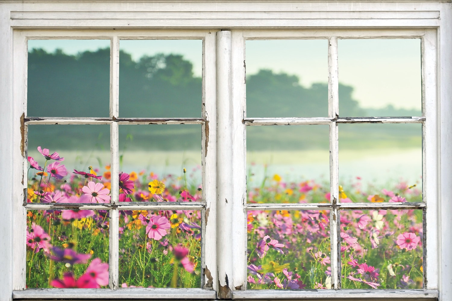 queence Leinwandbild "Blumenwiese" Blumenwiese  Fensterblick  Natur  Wiesen günstig online kaufen