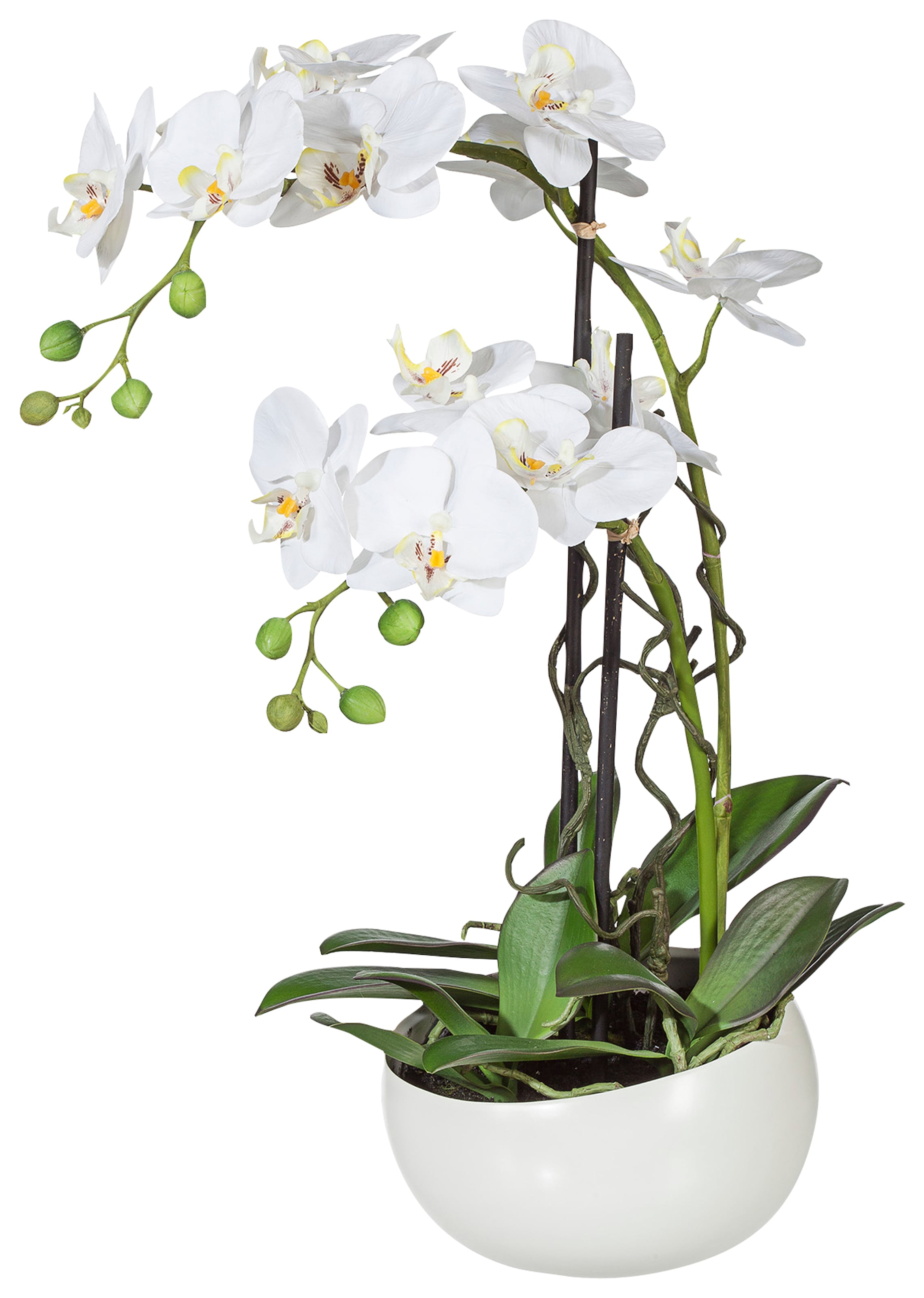 Kunstpflanze »Orchidee«