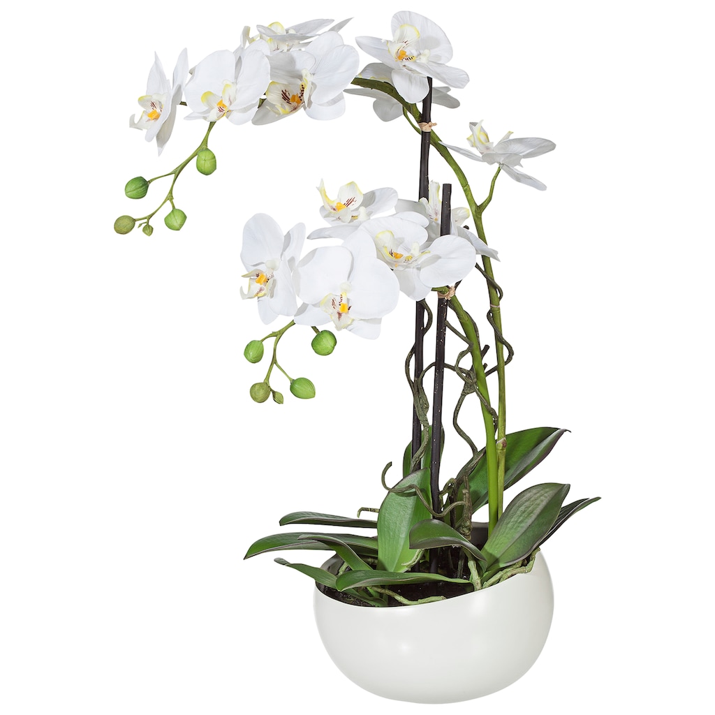 Creativ green Kunstpflanze »Orchidee«