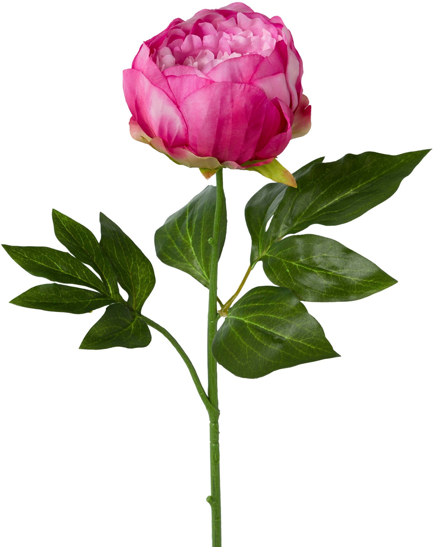 Creativ green Kunstblume "Peonie" günstig online kaufen